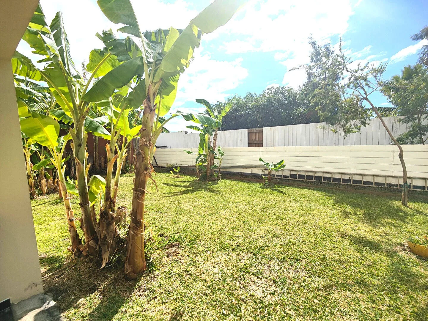 Photo 9 - Appartement à vendre - Ancien 275 600 € 4 pièces 3 chambres 80.5 m² Sainte-Marie 97438