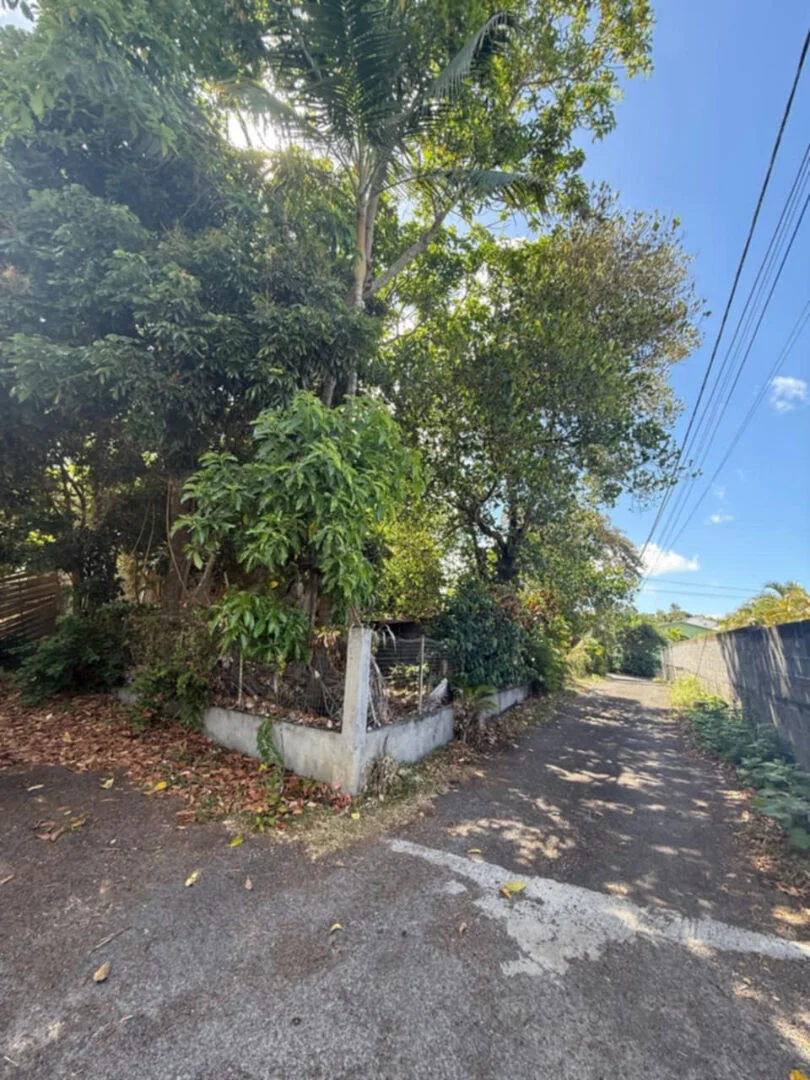 Photo 3 - Terrain à vendre - Ancien 248 400 € 739 m² Ravine des Cabris 97432