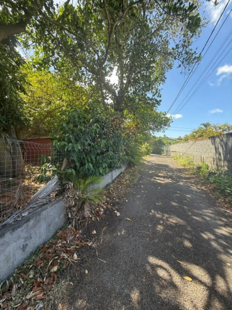 Photo 2 - Terrain à vendre - Ancien 248 400 € 739 m² Ravine des Cabris 97432