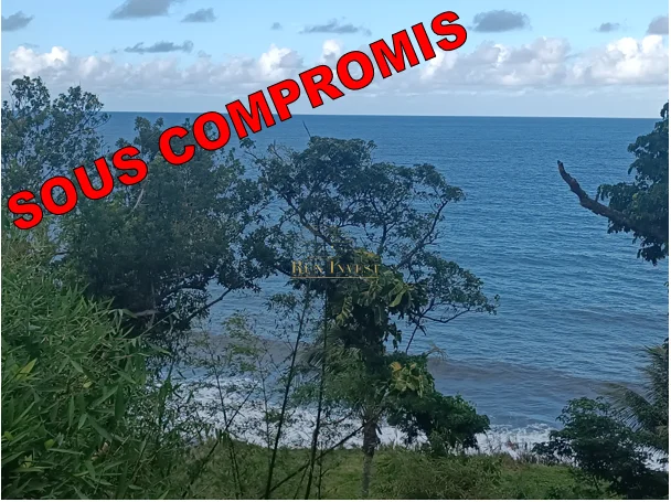 Photo 1 - Maison à vendre - Ancien 285 000 € 3 pièces 2 chambres 65 m² Sainte-Suzanne 97441