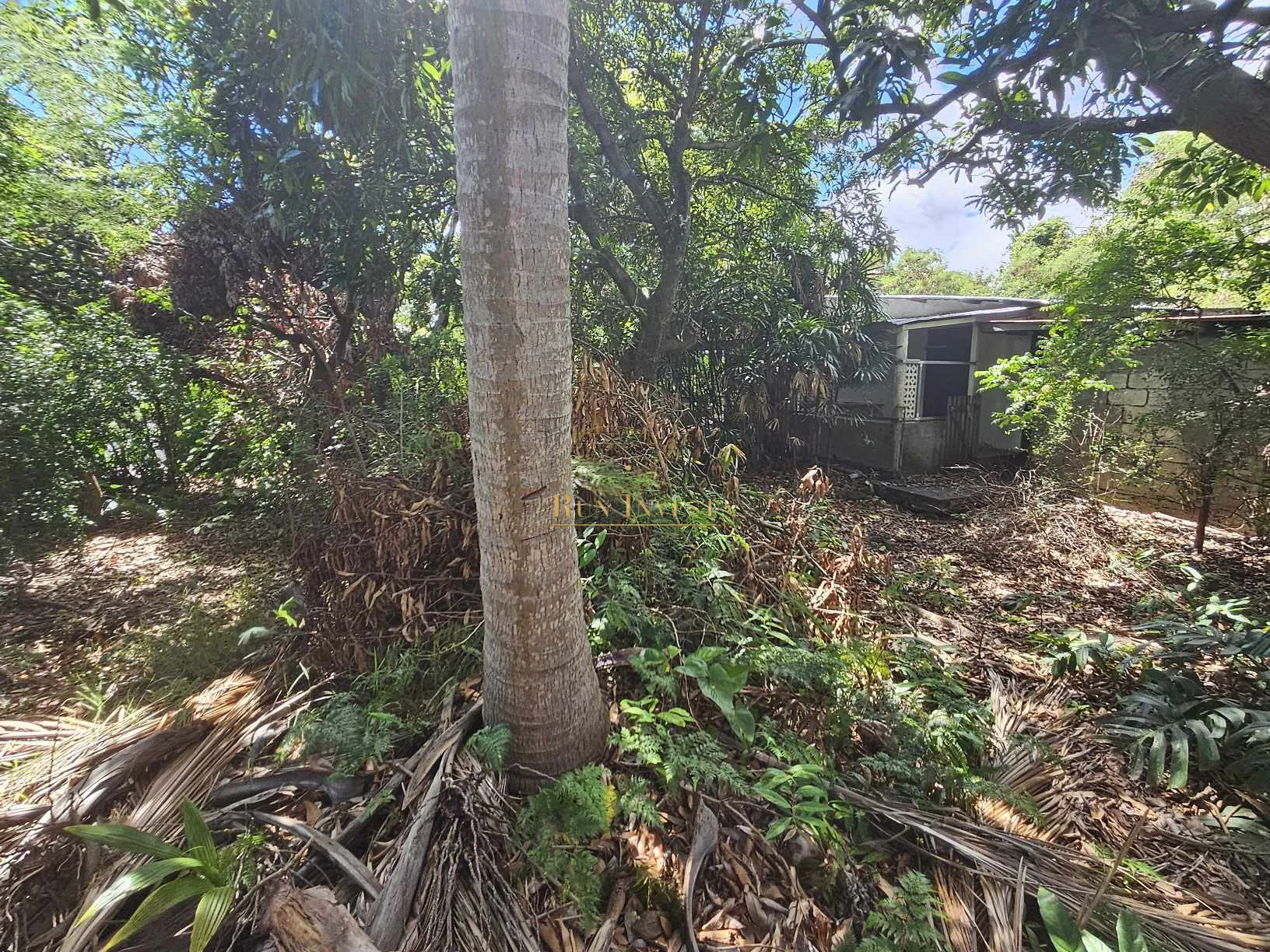 Photo 3 - Maison à vendre - Ancien 267 000 € 4 pièces 4 chambres 100 m² Sainte-Marie 97438