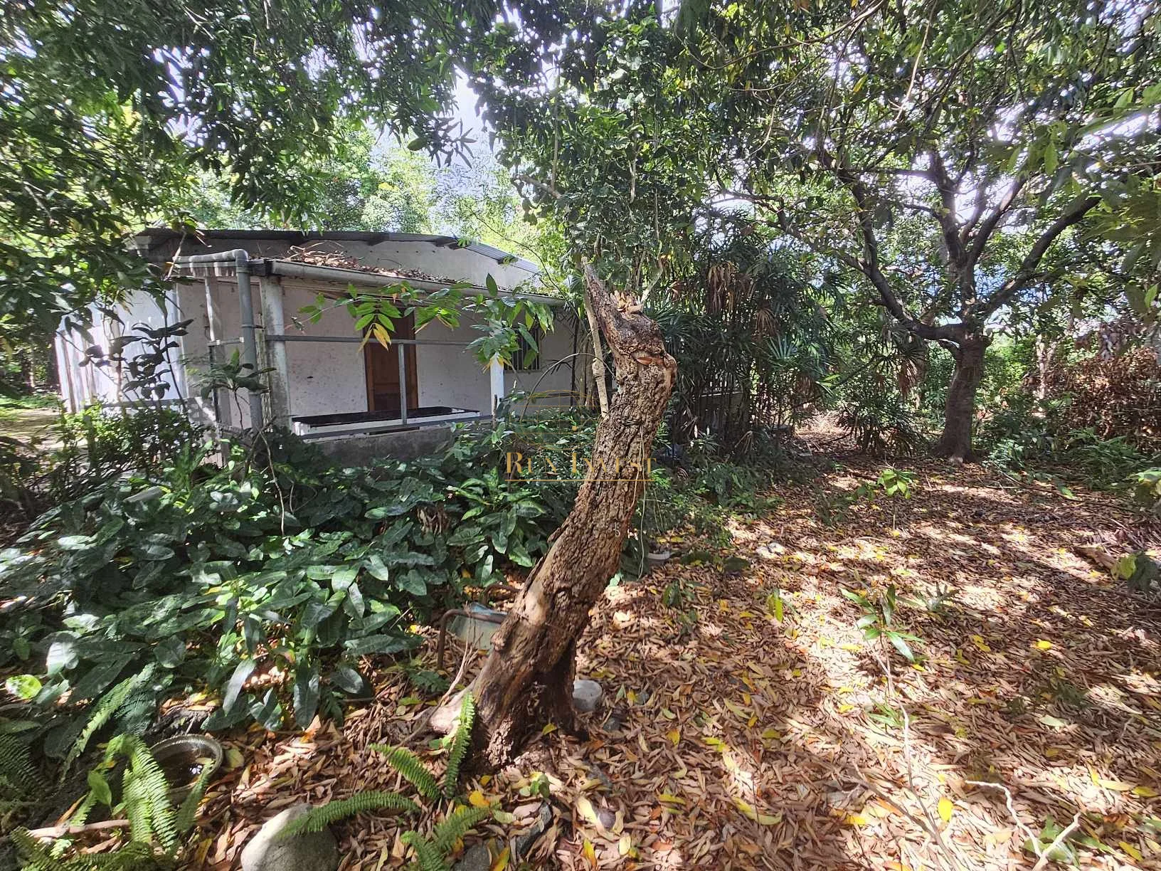 Photo 1 - Maison à vendre - Ancien 267 000 € 4 pièces 4 chambres 100 m² Sainte-Marie 97438