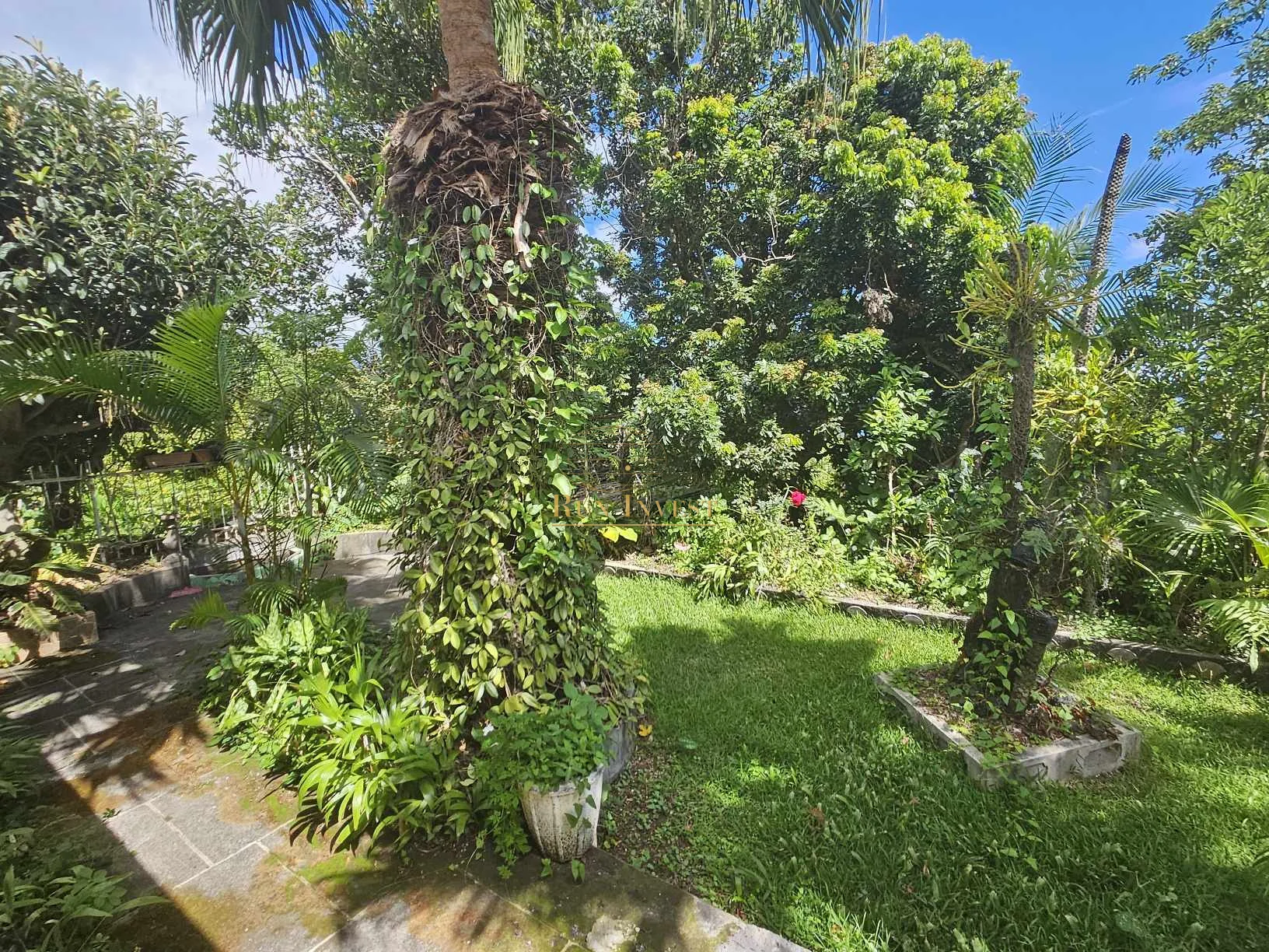 Photo 6 - Maison à vendre - Ancien 297 000 € 4 pièces 3 chambres 100 m² Sainte-Marie 97438