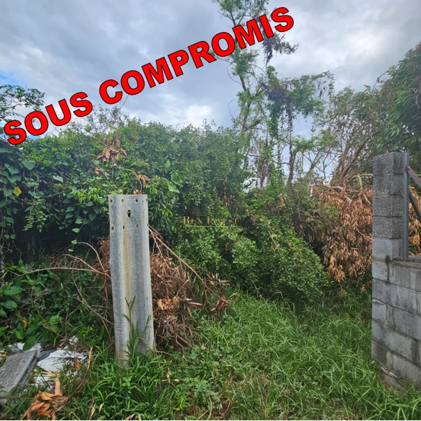 Photo 3 - Terrain à vendre - Ancien 80 000 € 316 m² Saint-André 97440