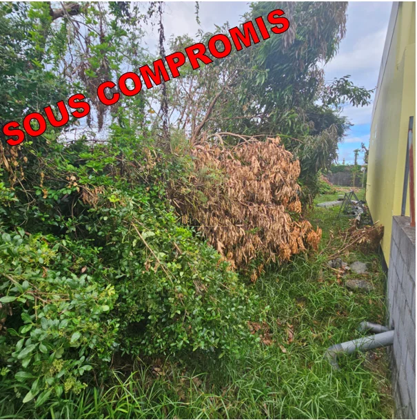 Photo 2 - Terrain à vendre - Ancien 80 000 € 316 m² Saint-André 97440