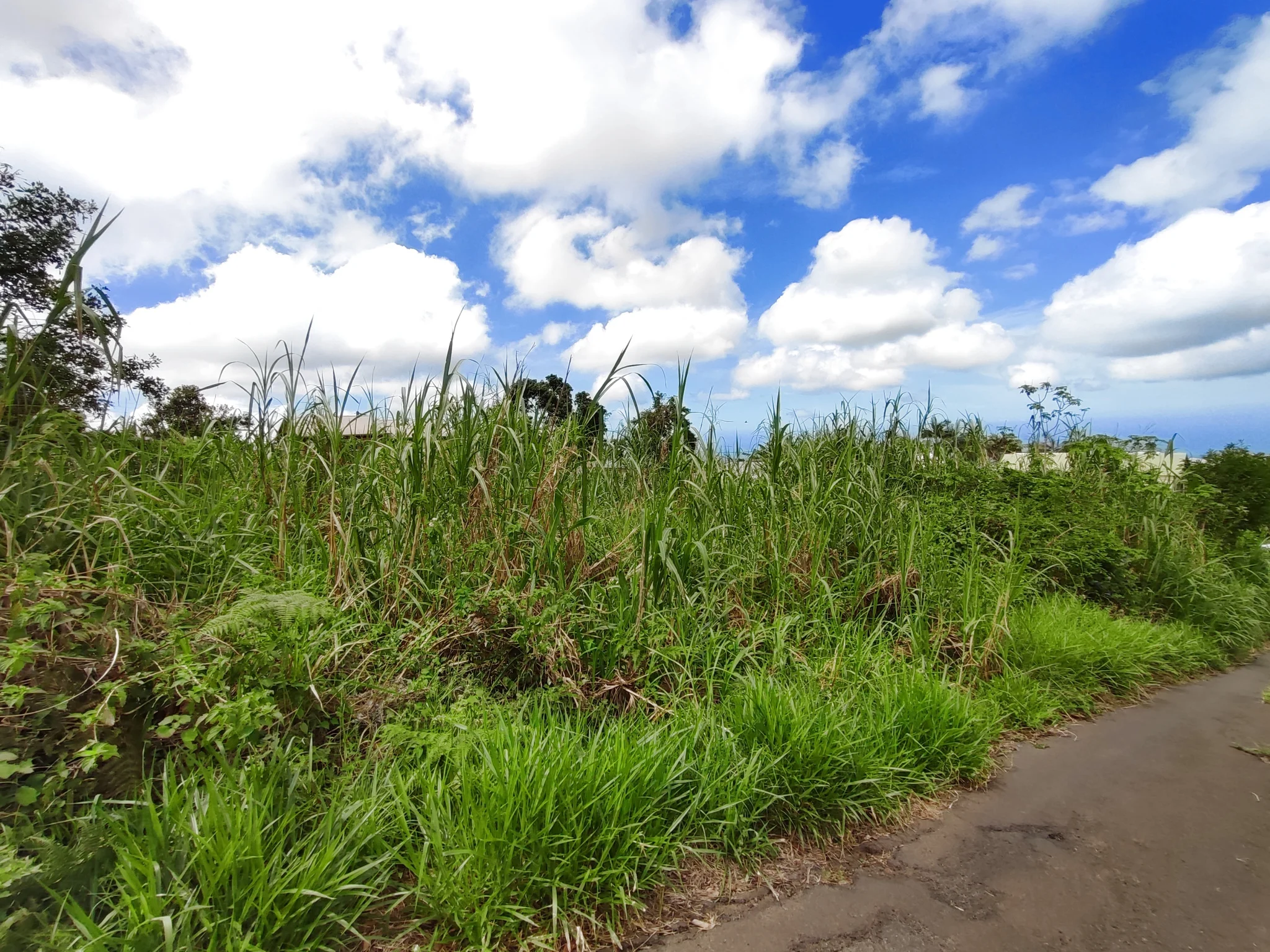 Photo 3 - Terrain à vendre - Ancien 223 500 € 1053 m² Tampon 97430