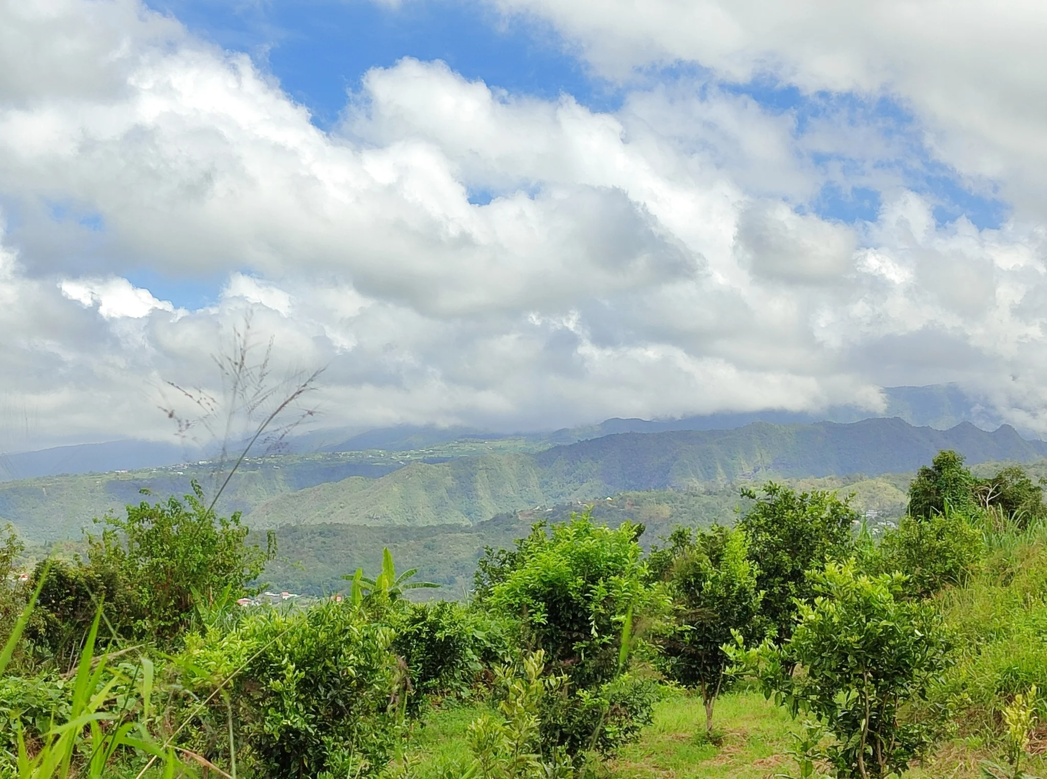 Photo 2 - Terrain à vendre - Ancien 223 500 € 1053 m² Tampon 97430