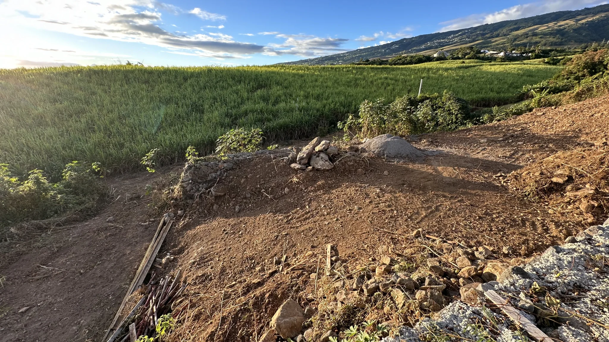 Photo 5 - Terrain à vendre - Ancien 270 000 € 858 m² Saint-Denis 97490