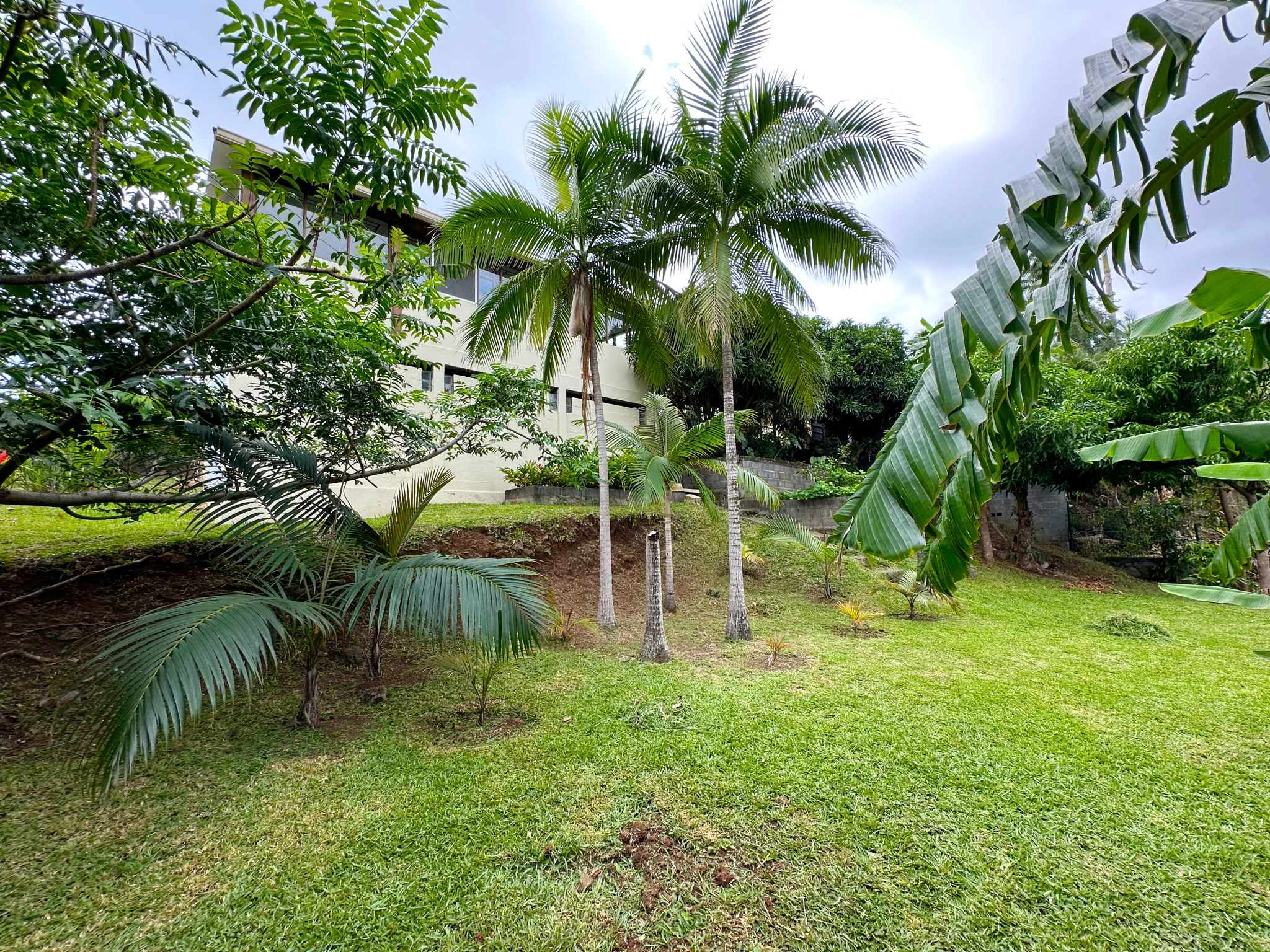 Photo 24 - Maison à vendre - Ancien 430 000 € 6 pièces 5 chambres 170 m² Saint-Denis 97417