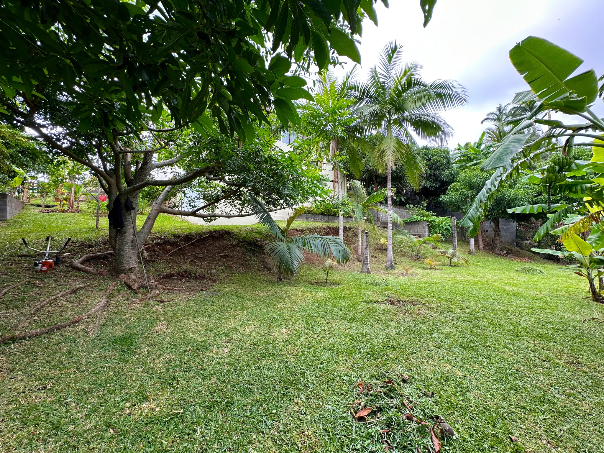 Photo 25 - Maison à vendre - Ancien 430 000 € 6 pièces 5 chambres 170 m² Saint-Denis 97417