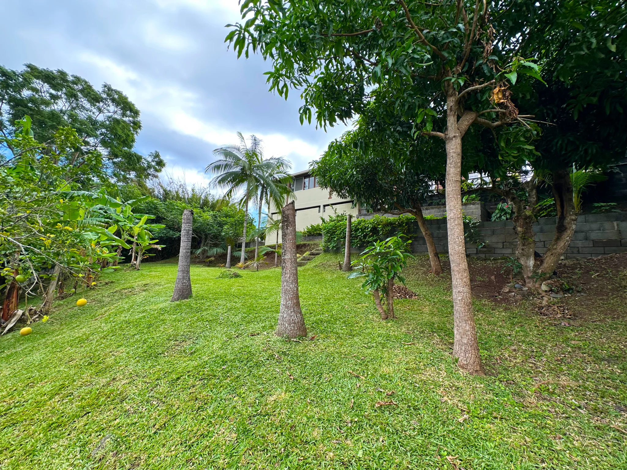 Photo 26 - Maison à vendre - Ancien 430 000 € 6 pièces 5 chambres 170 m² Saint-Denis 97417