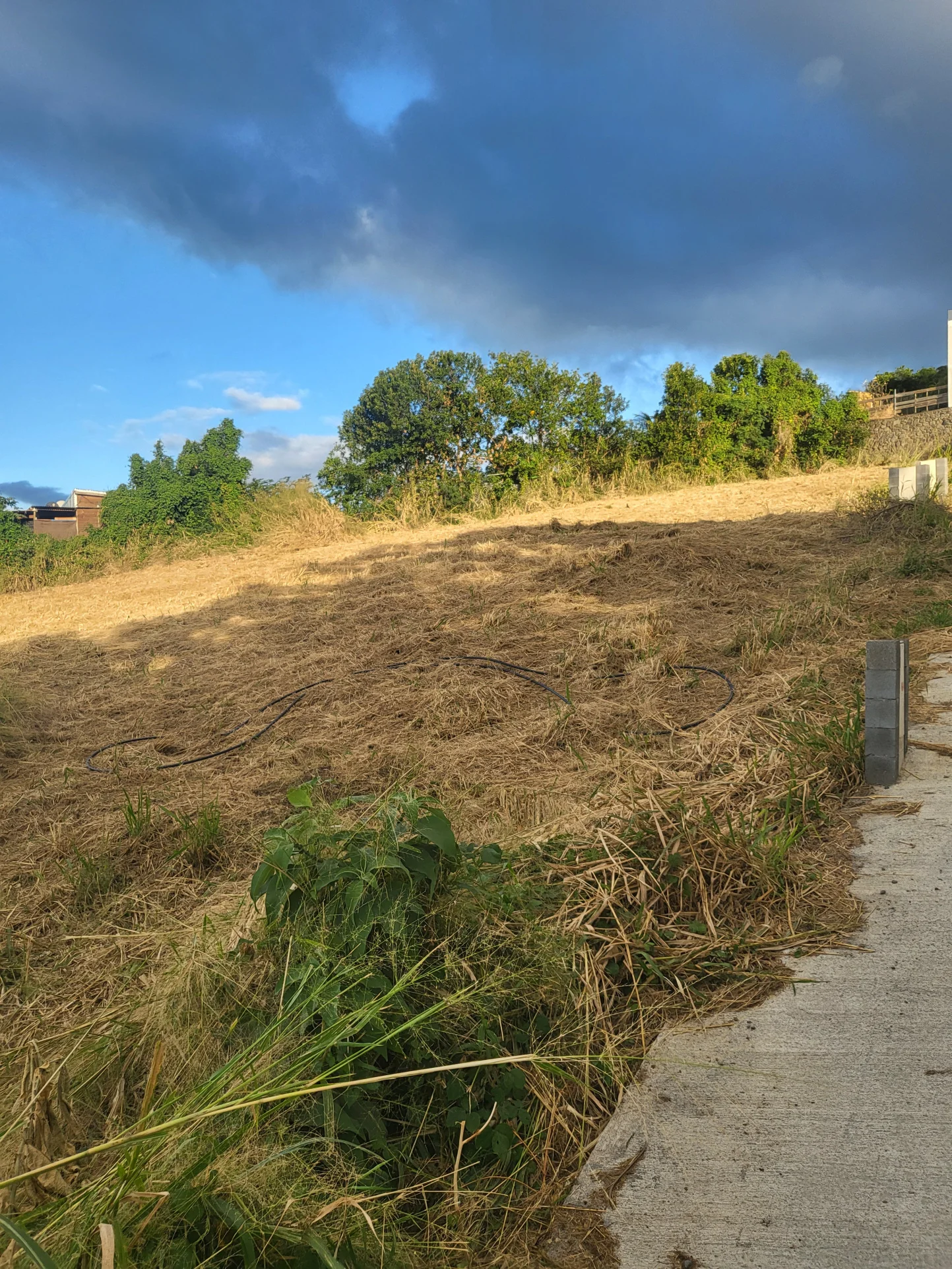 Photo 2 - Terrain à vendre - Ancien 190 000 € 316 m² Saint-Denis 97400