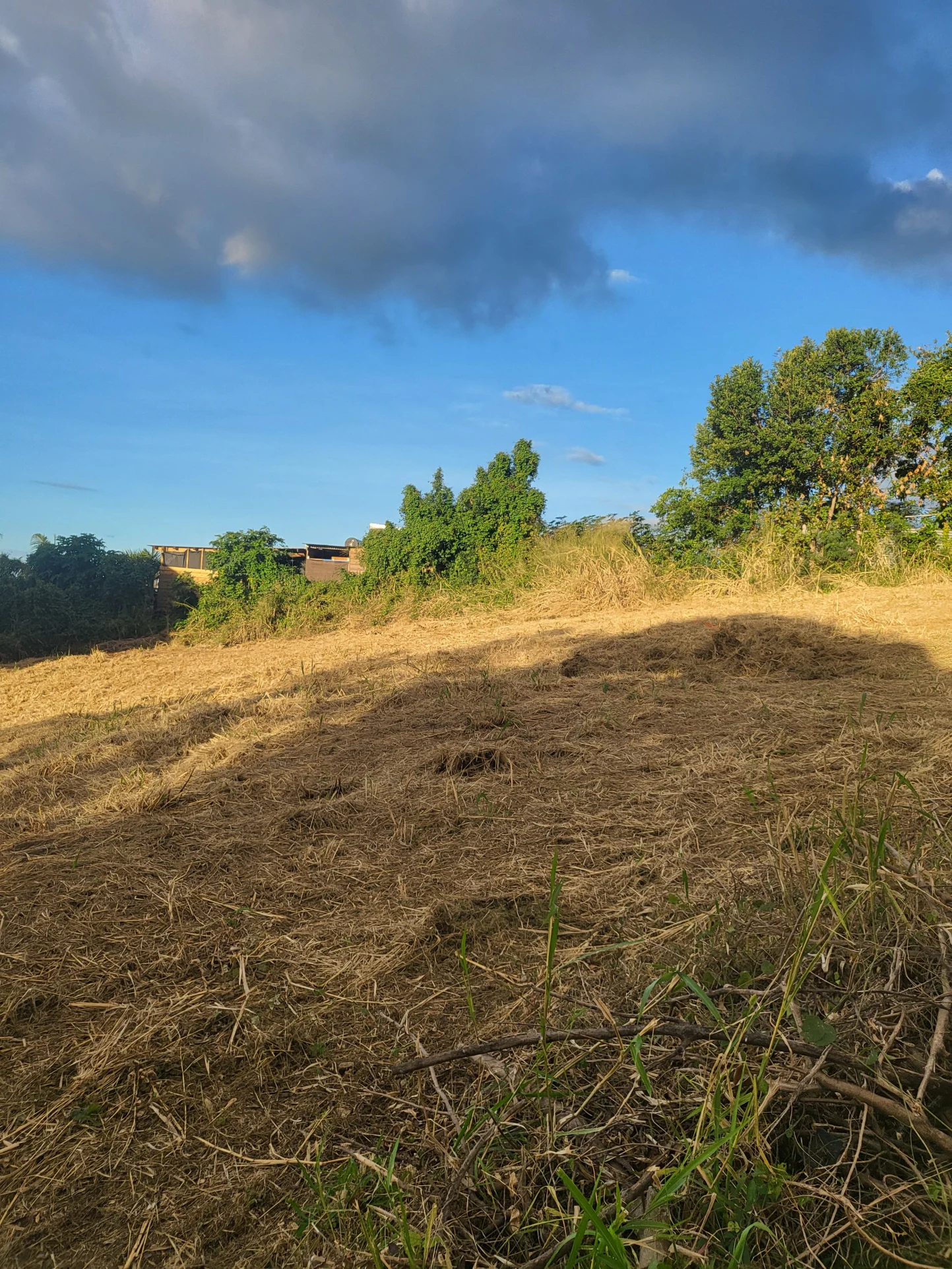 Photo 1 - Terrain à vendre - Ancien 190 000 € 316 m² Saint-Denis 97400