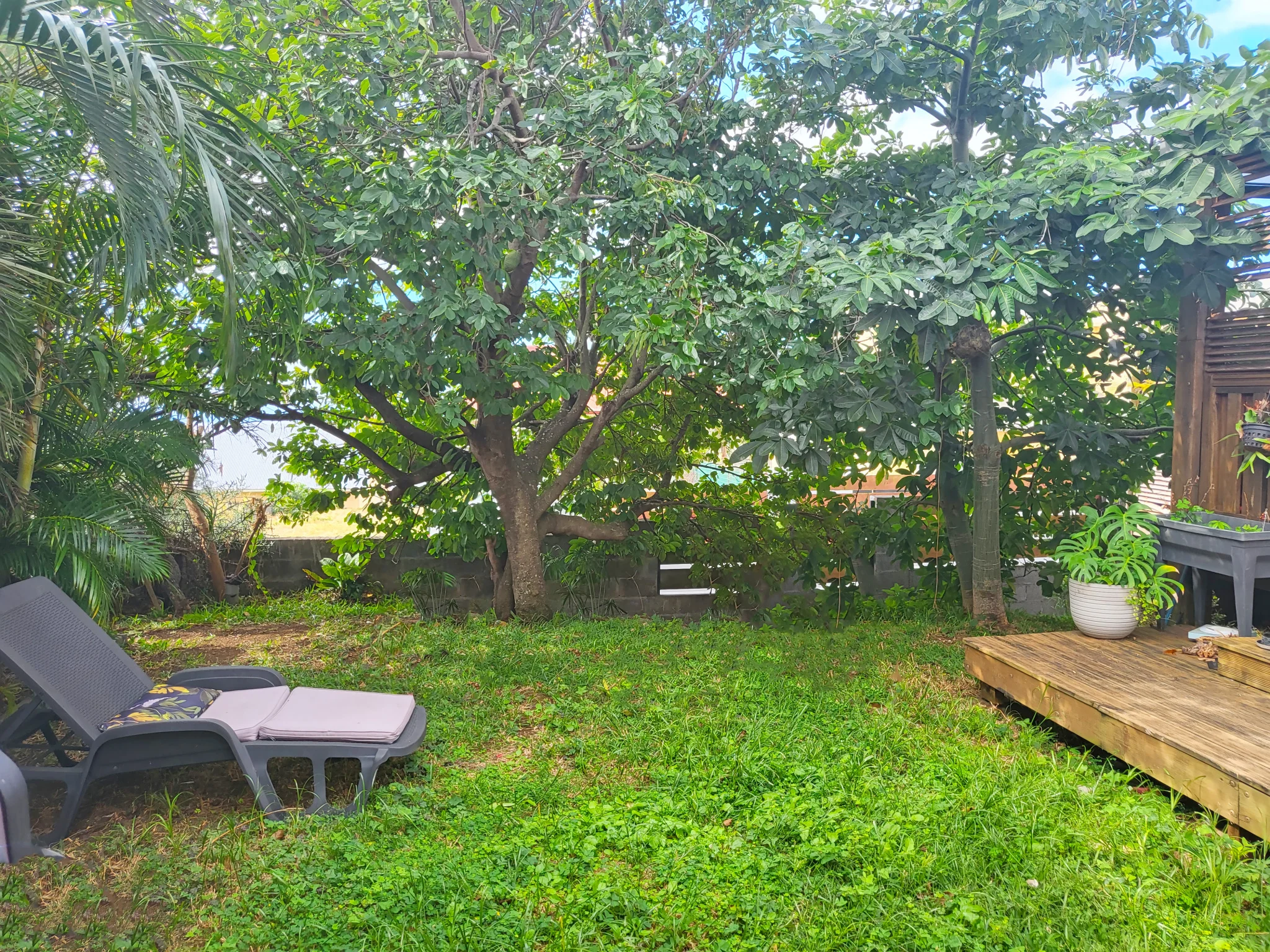 Photo 4 - Maison à vendre - Ancien 610 000 € 5 pièces 4 chambres 160 m² Sainte-Marie 97438