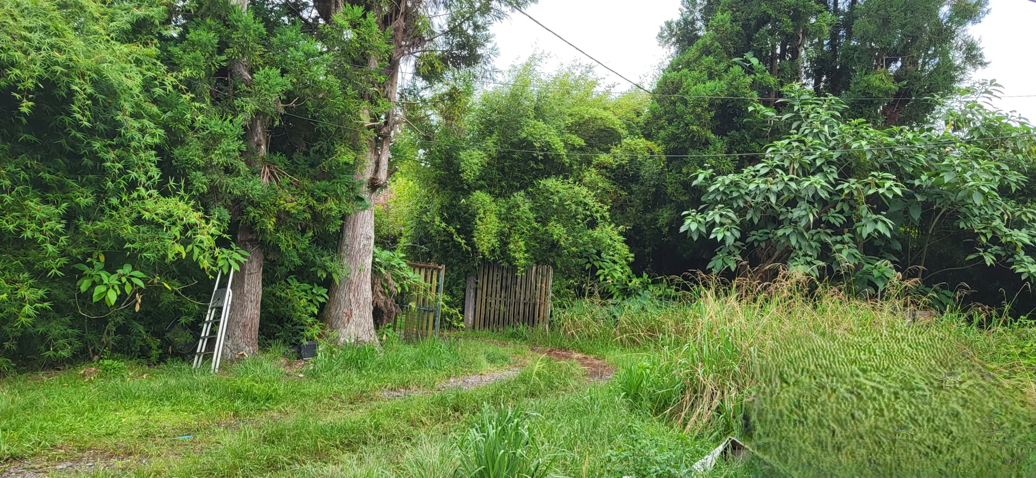 Photo 1 - Terrain à vendre - Ancien 220 000 € 1293 m² Plaine-des-Palmistes 97431