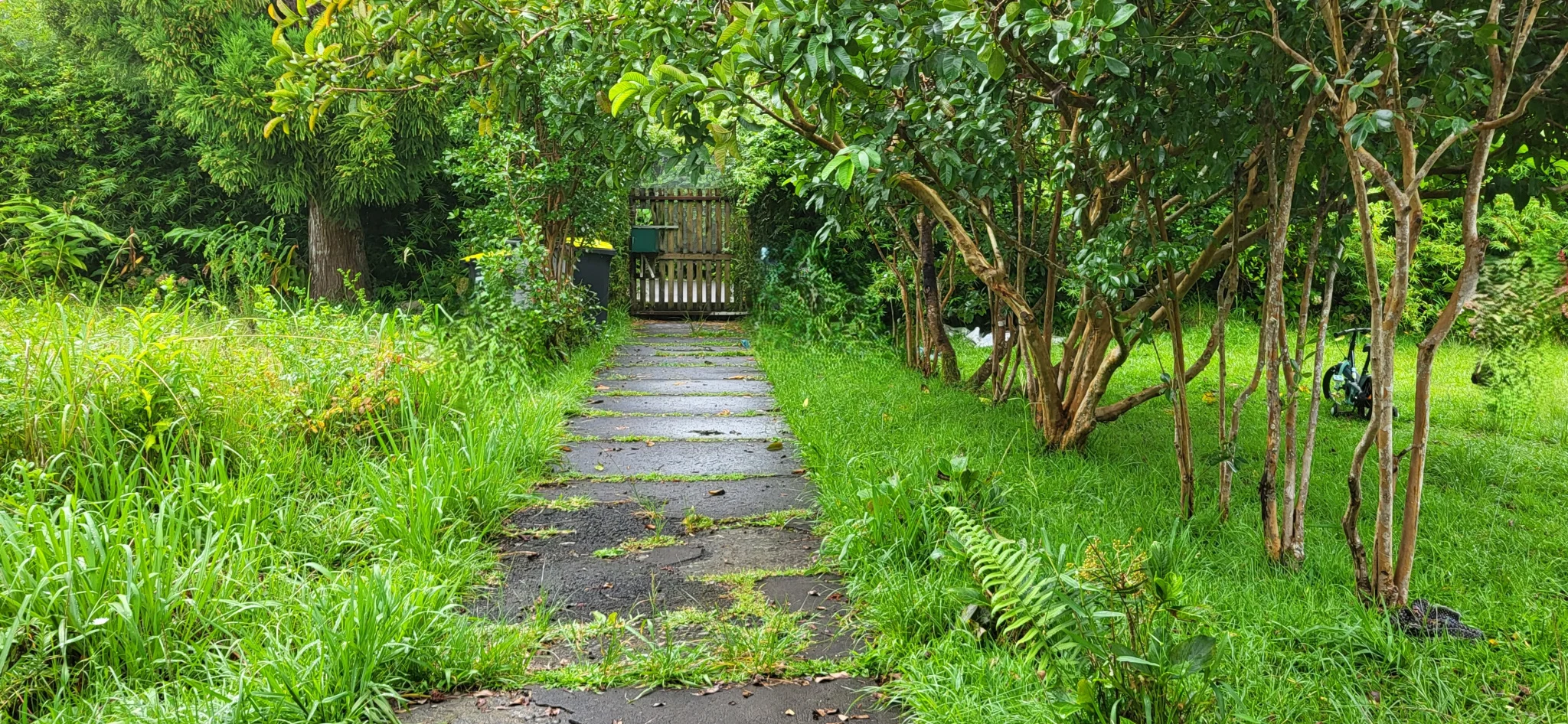 Photo 2 - Terrain à vendre - Ancien 220 000 € 1293 m² Plaine-des-Palmistes 97431