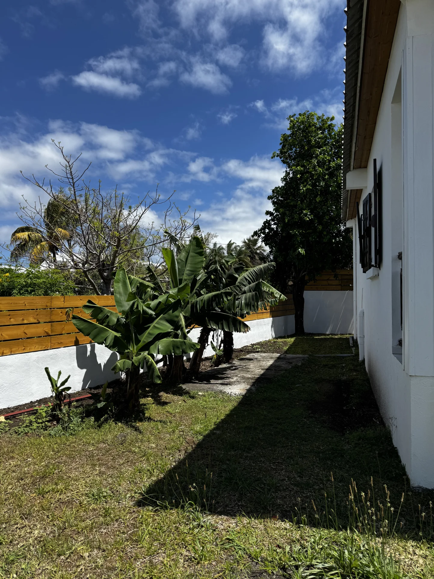 Photo 2 - Maison à vendre - Ancien 399 000 € 4 pièces 3 chambres 100 m² Saint-Pierre 97432