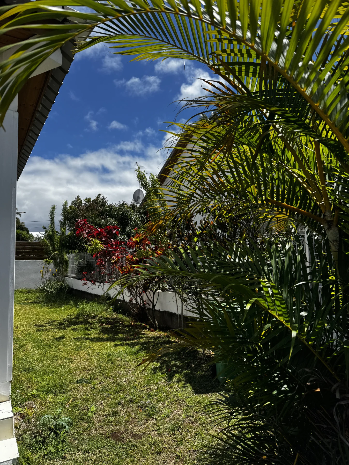 Photo 4 - Maison à vendre - Ancien 399 000 € 4 pièces 3 chambres 100 m² Saint-Pierre 97432