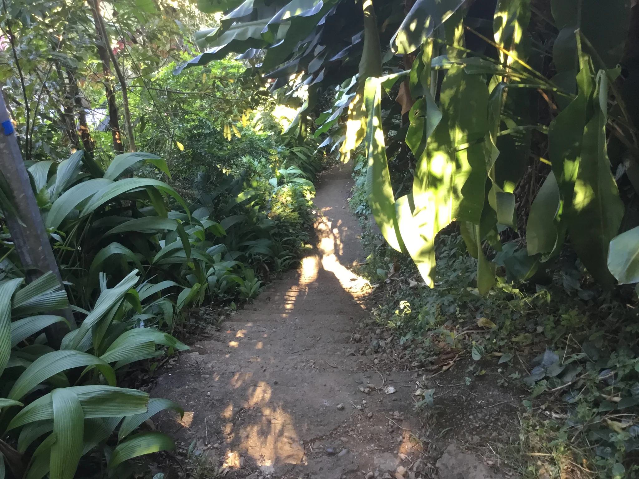 Photo 1 - Terrain à vendre - Ancien 130 000 € 2010 m² Saint-Benoît 97470