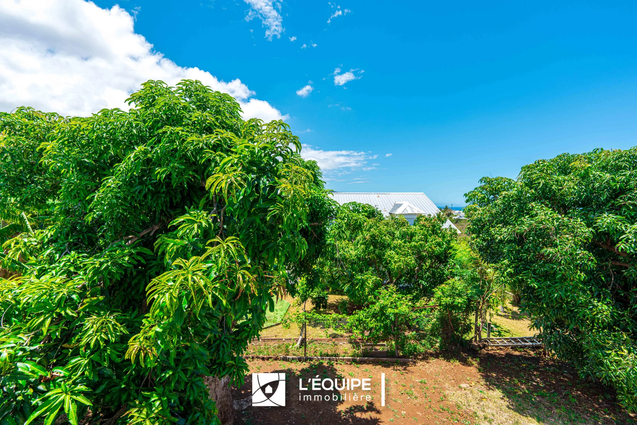 Photo 7 - Maison à vendre - Ancien 452 000 € 5 pièces 3 chambres 148 m² Saint-Denis 97490