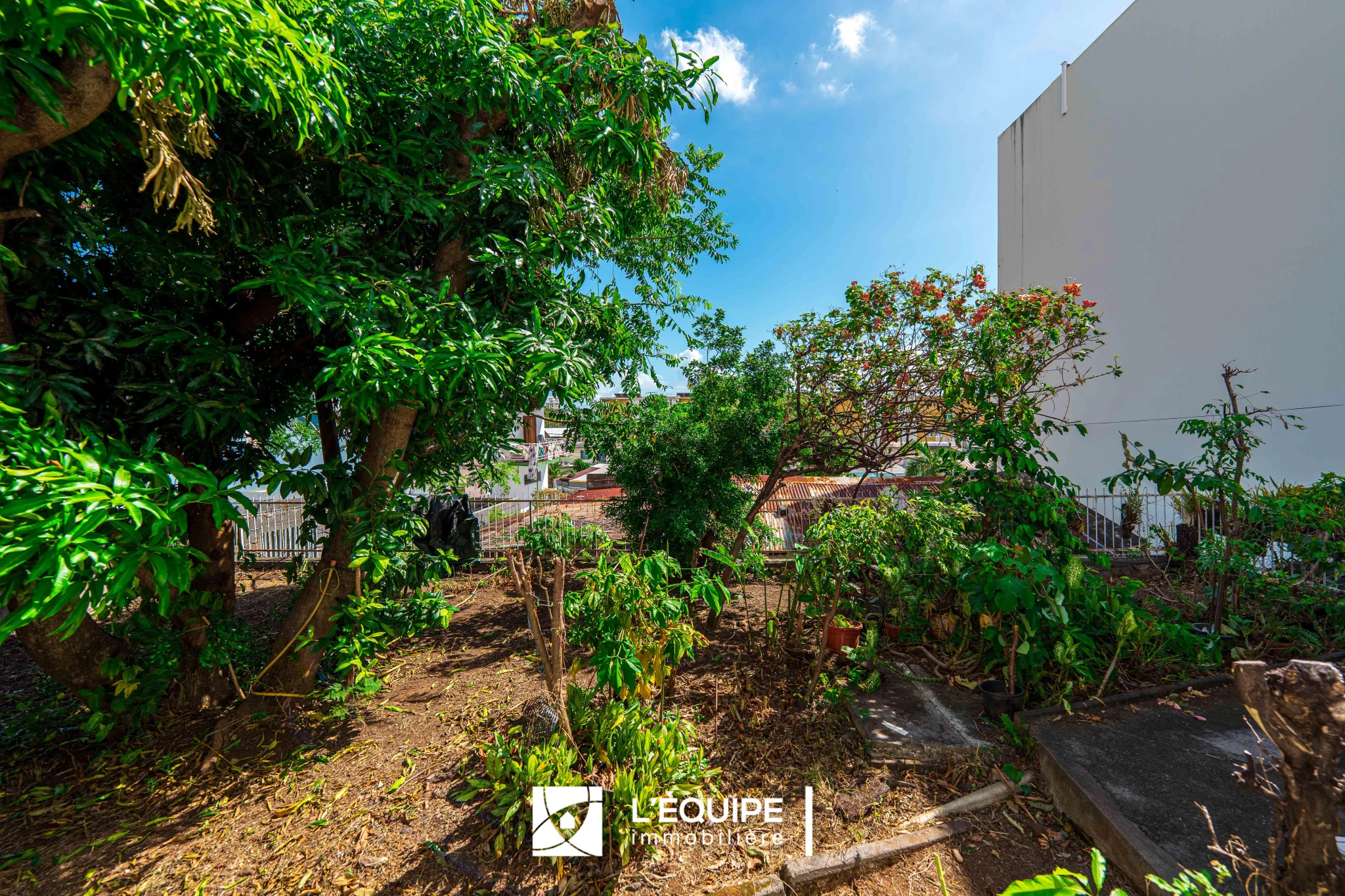 Photo 2 - Maison à vendre - Ancien 349 900 € 5 pièces 3 chambres 94 m² Saint-Denis 97400