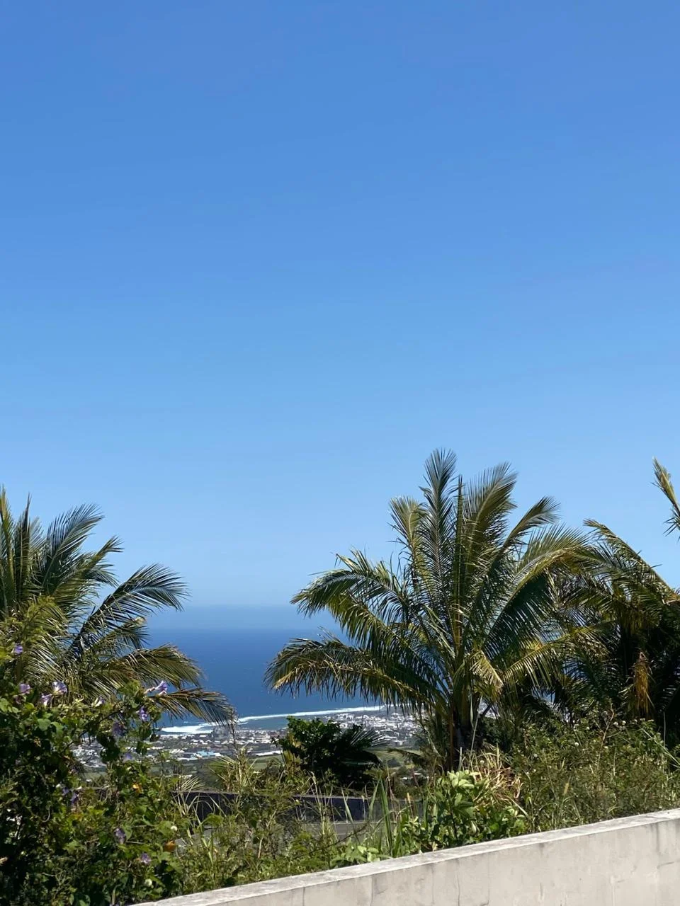 Photo 3 - Terrain à vendre - Ancien 237 600 € 559 m² Saint-Pierre 97410