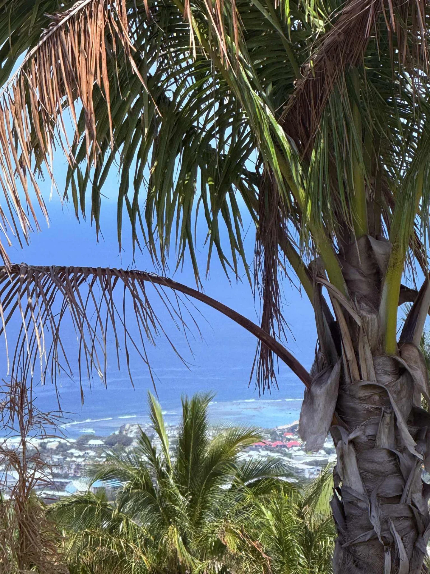 Photo 1 - Terrain à vendre - Ancien 237 600 € 559 m² Saint-Pierre 97410