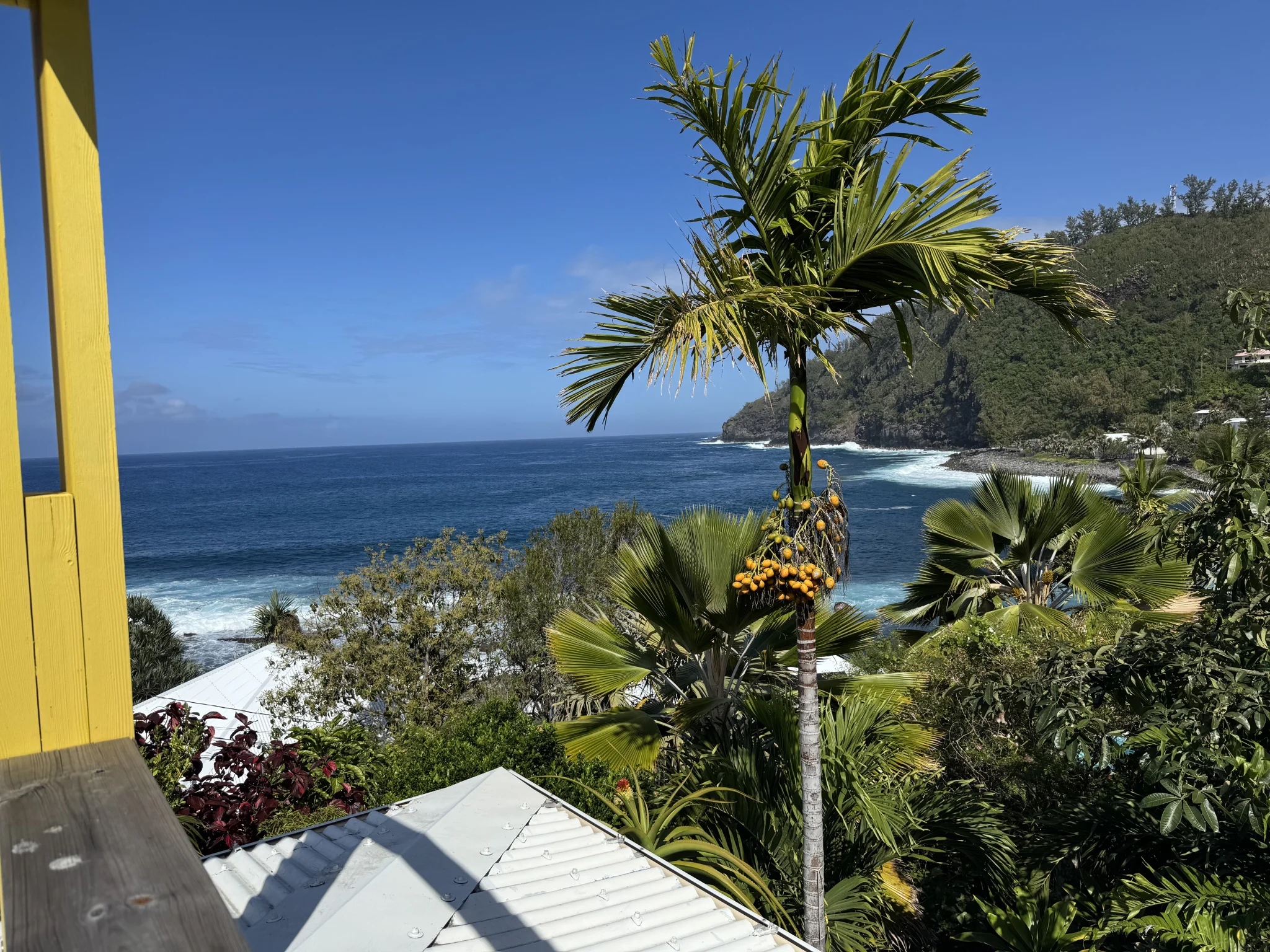 Photo 2 - Maison à vendre - Ancien 1 200 000 € 5 pièces 11 chambres 170 m² Saint-Joseph 97480