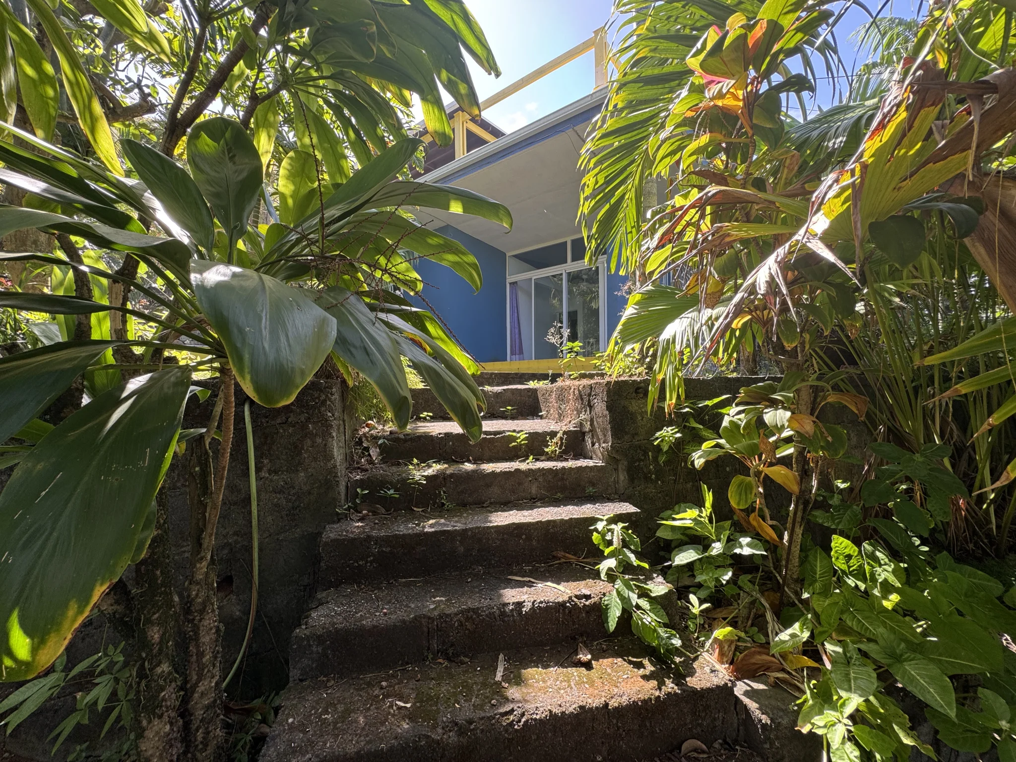 Photo 8 - Maison à vendre - Ancien 1 200 000 € 5 pièces 11 chambres 170 m² Saint-Joseph 97480