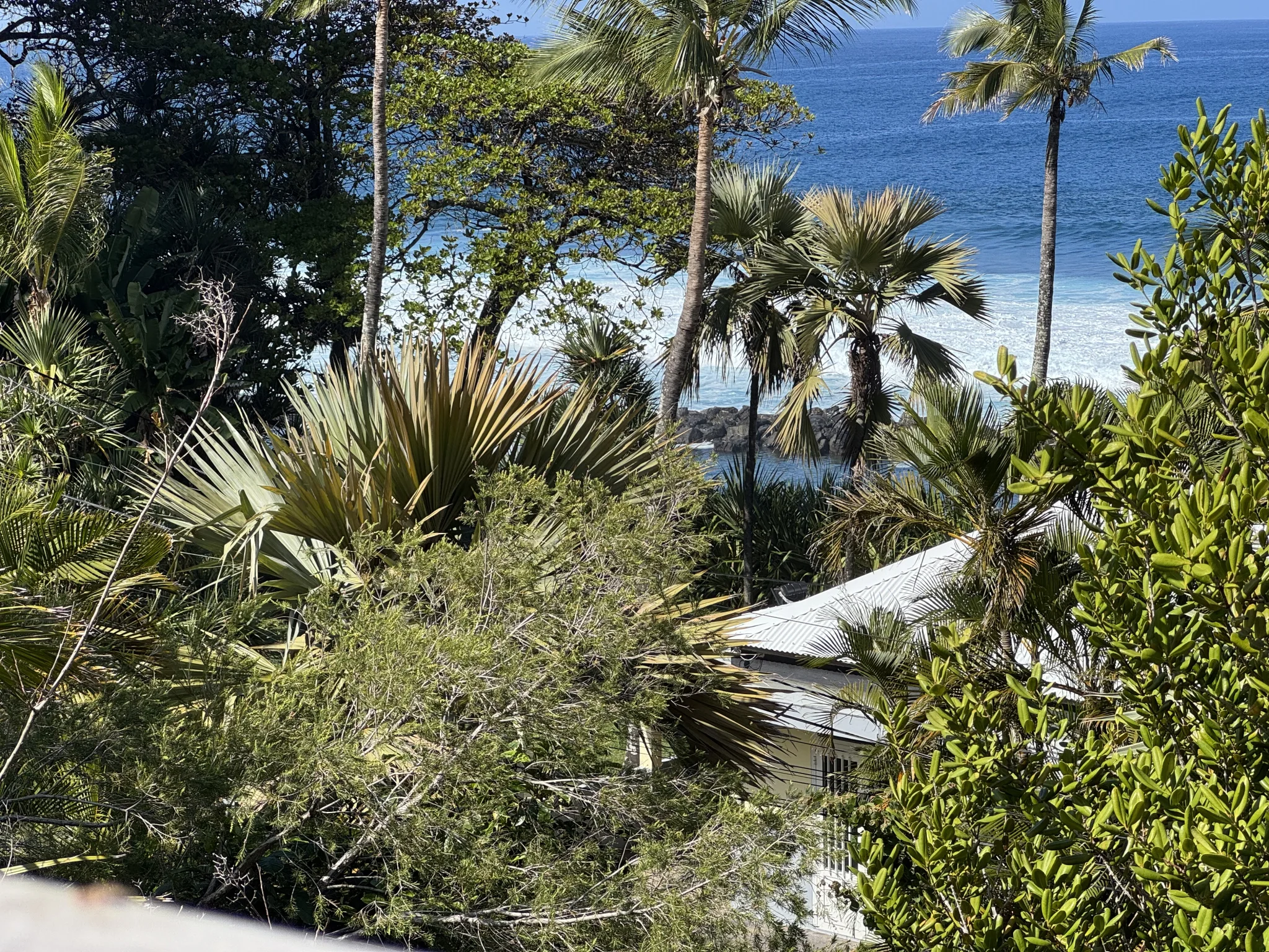 Photo 3 - Maison à vendre - Ancien 1 200 000 € 5 pièces 11 chambres 170 m² Saint-Joseph 97480