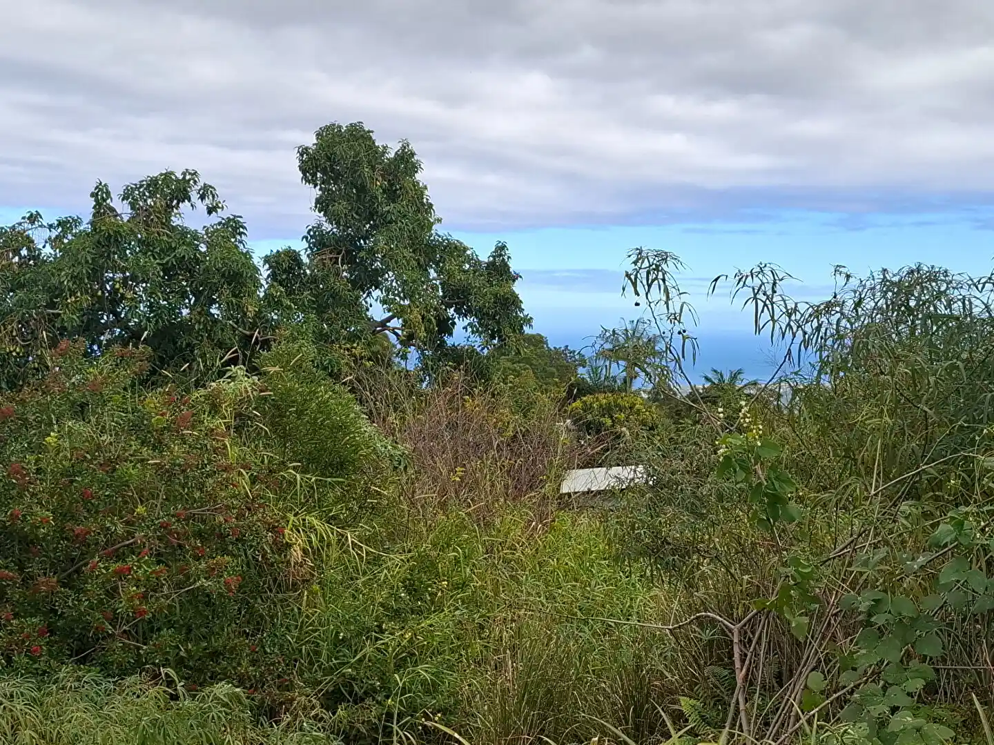 Photo 1 - Terrain à vendre - Ancien 113 500 € 700 m² Le Tampon 97430