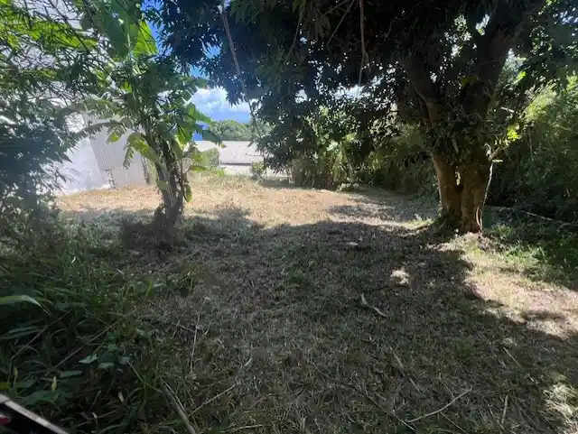 Photo 3 - Terrain à vendre - Ancien 192 500 € 487 m² Saint-Denis 97400