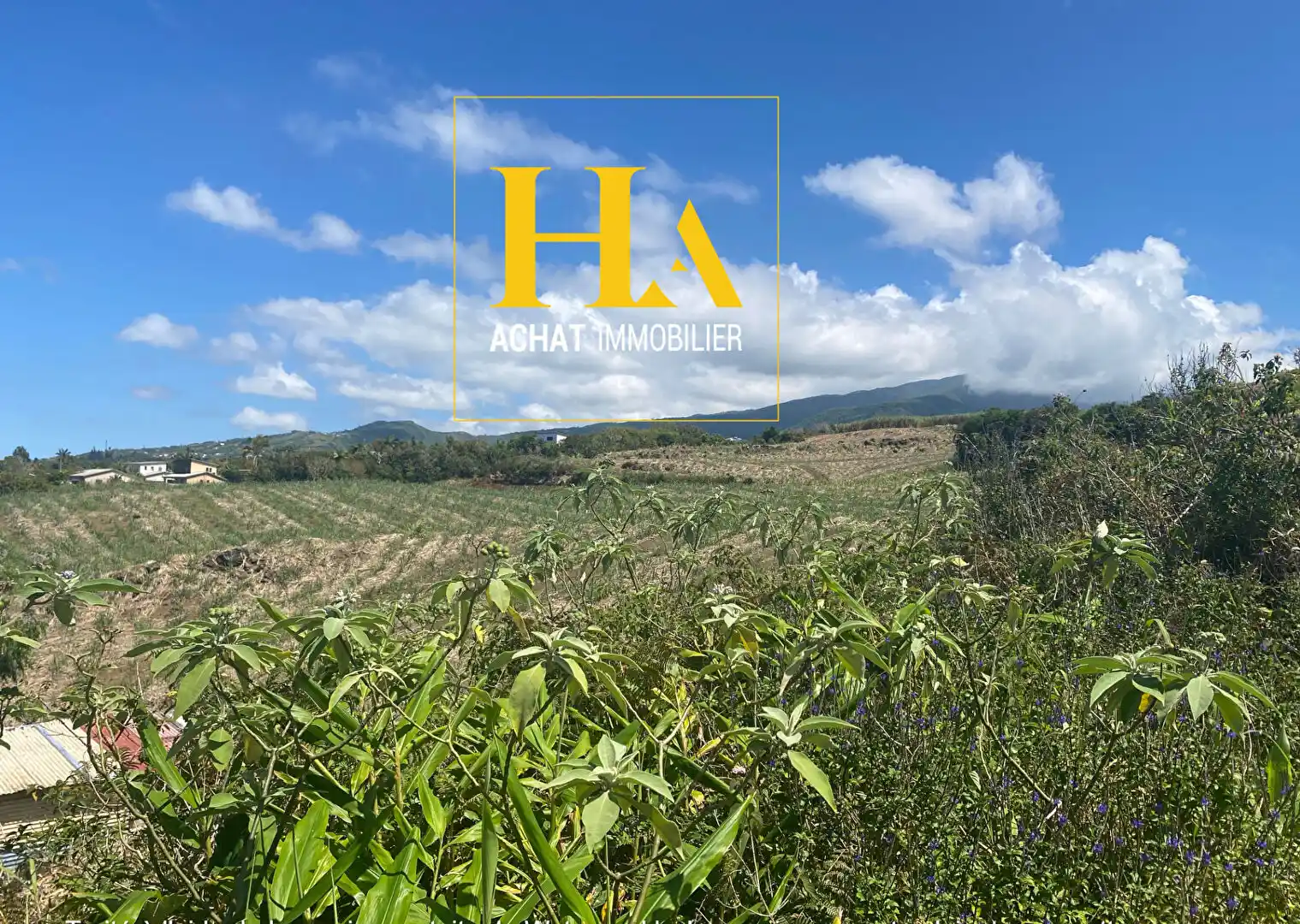 Photo 4 - Terrain à vendre - Ancien 88 000 € 440 m² Saint-Joseph 97480