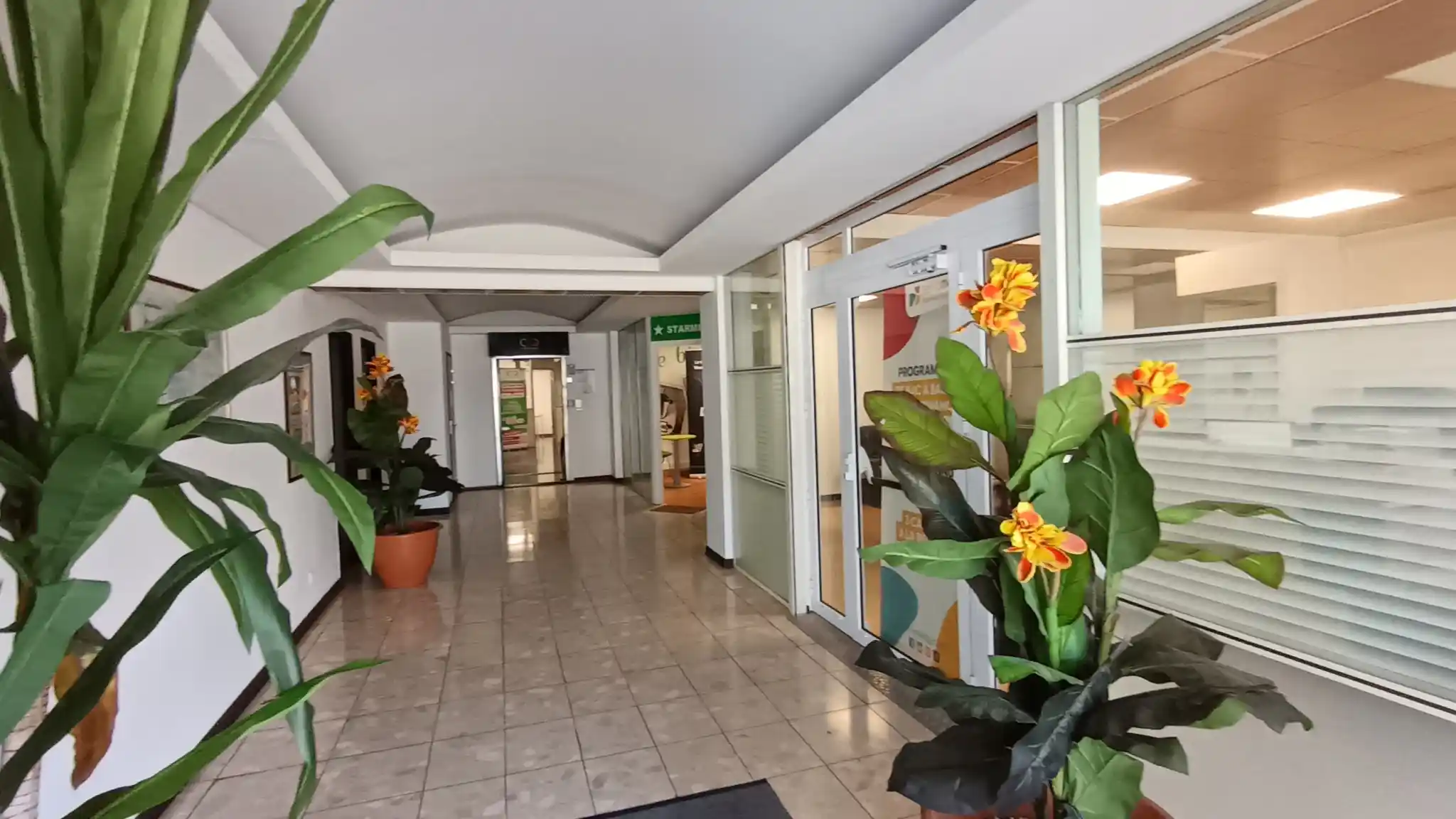 Photo 1 - Local / Bureaux à louer - Ancien 6 894 € 459.6 m² Saint-Denis Le Moufia 97490