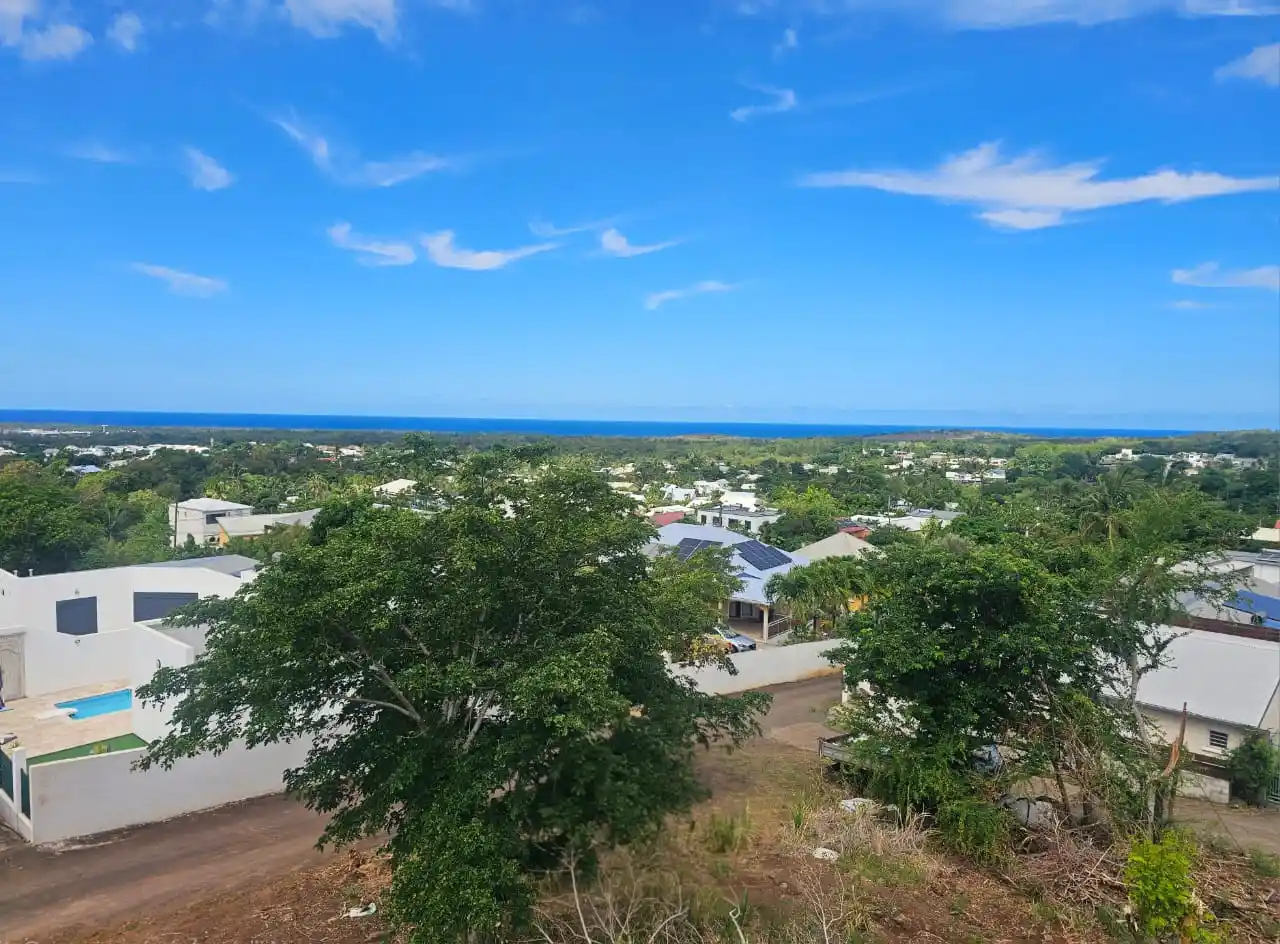 Photo 4 - Maison à vendre - Ancien 640 000 € 5 pièces 4 chambres 130 m² L'Étang-Salé 97427