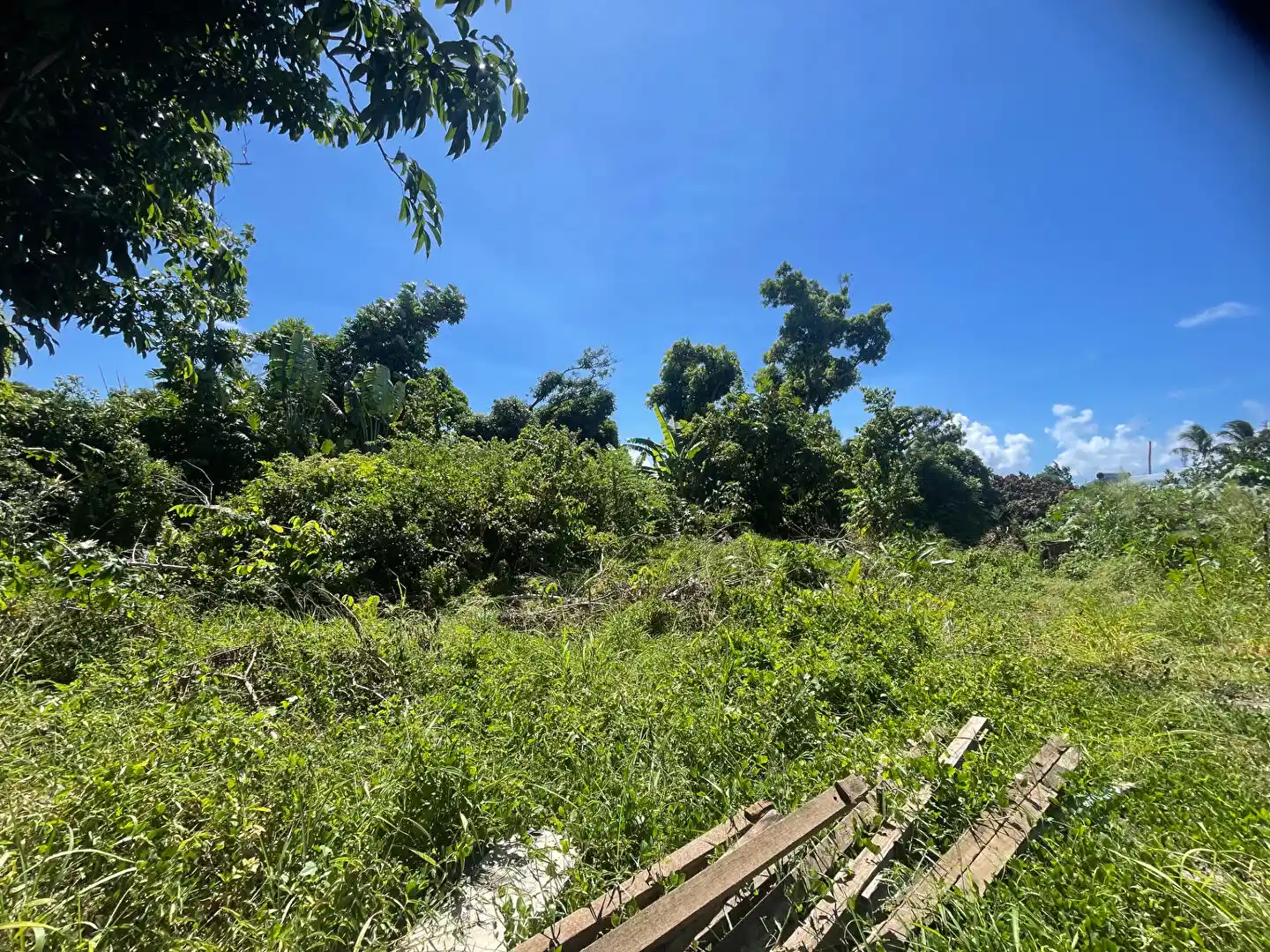 Photo 2 - Terrain à vendre - Ancien 129 900 € 369 m² Sainte-Suzanne 97441