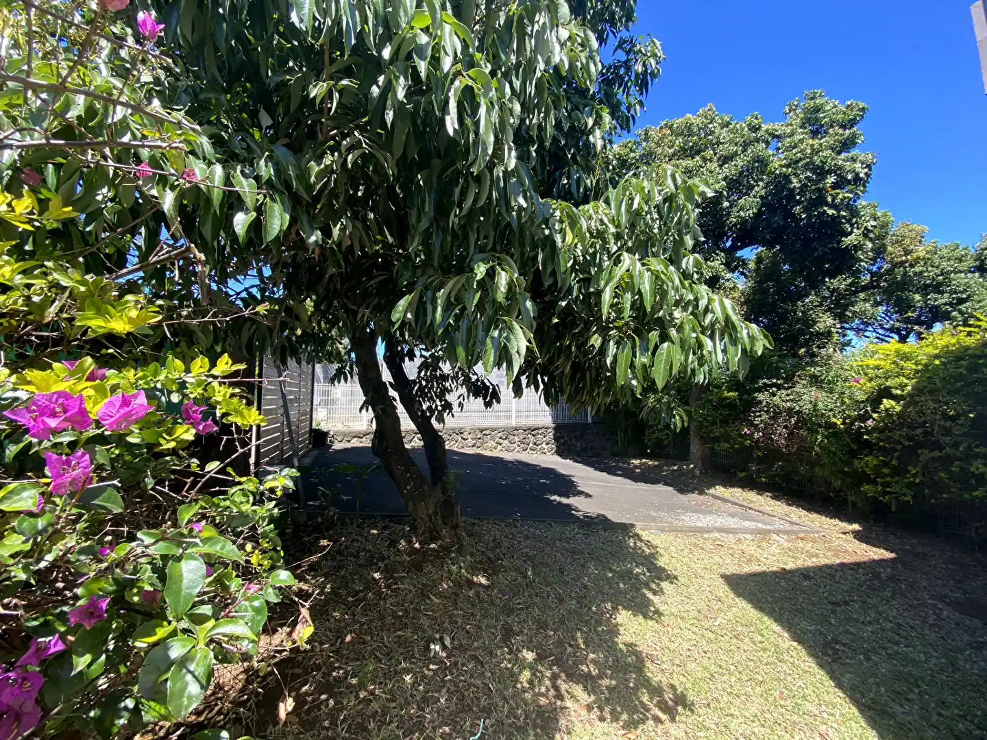 Photo 2 - Appartement à vendre - Ancien 335 000 € 4 pièces 3 chambres 106 m² Saint-Pierre 97410