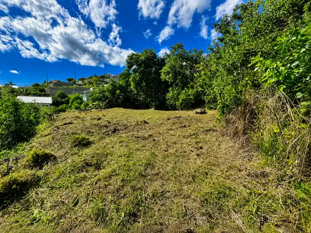 Photo 4 - Terrain à vendre - Ancien 99 500 € 233.66 m² Saint-Paul 97411