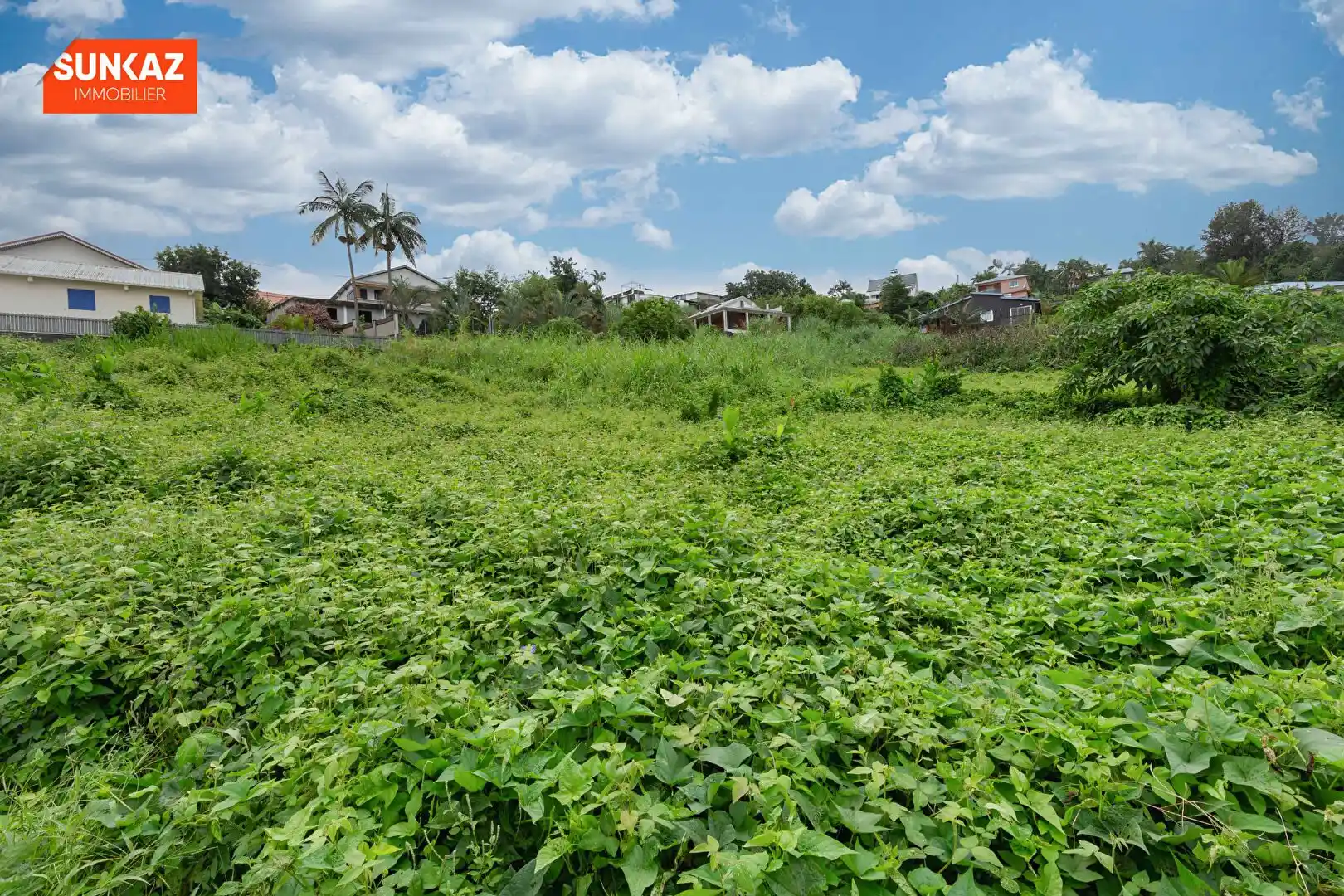 Photo 1 - Terrain à vendre - Ancien 135 000 € 579 m² Le Tampon 97430