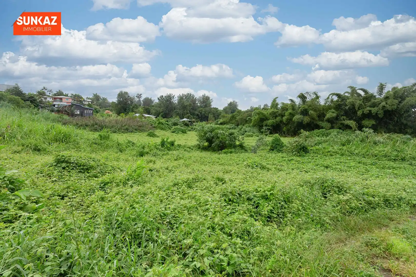 Photo 2 - Terrain à vendre - Ancien 135 000 € 579 m² Le Tampon 97430