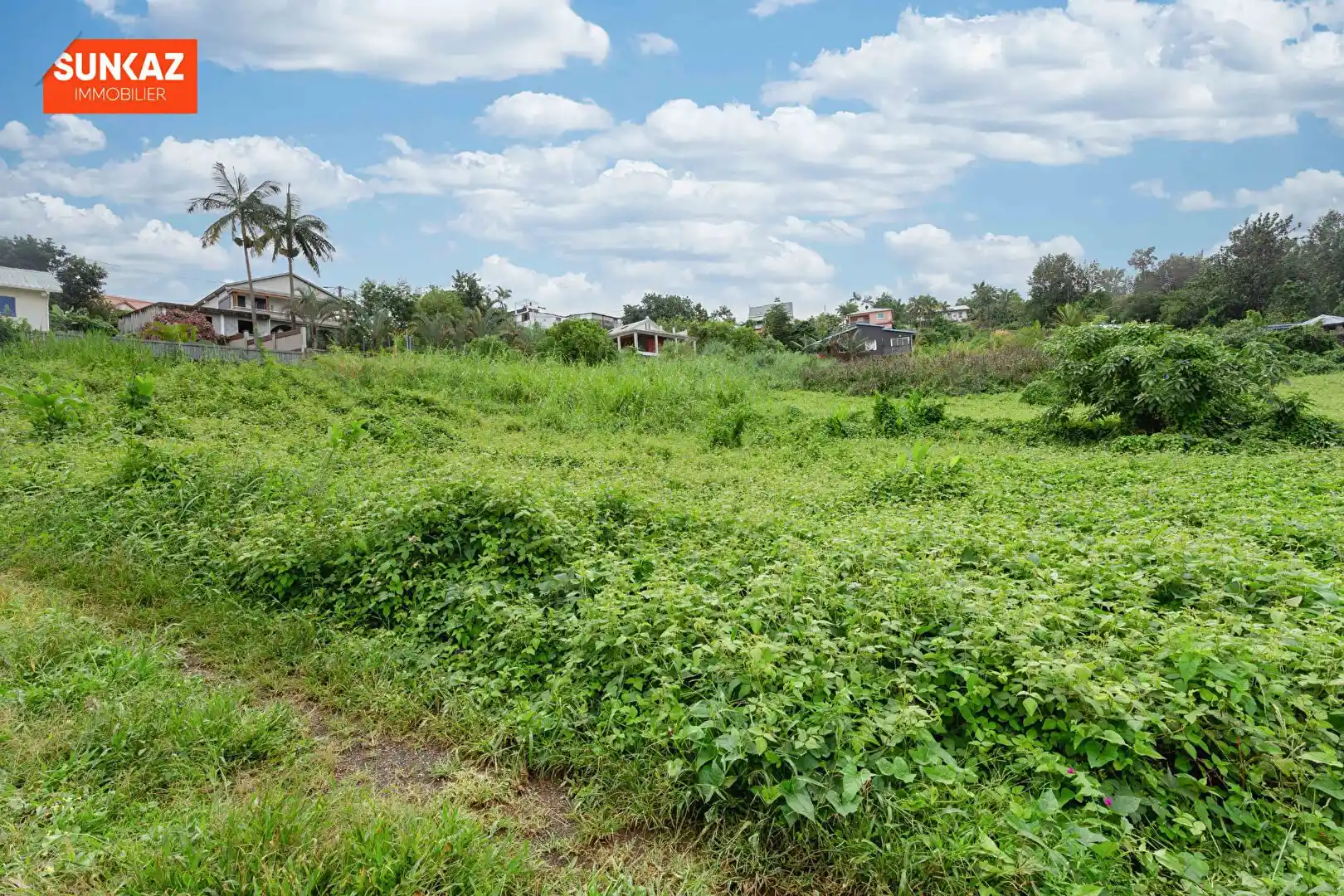 Photo 4 - Terrain à vendre - Ancien 135 000 € 579 m² Le Tampon 97430