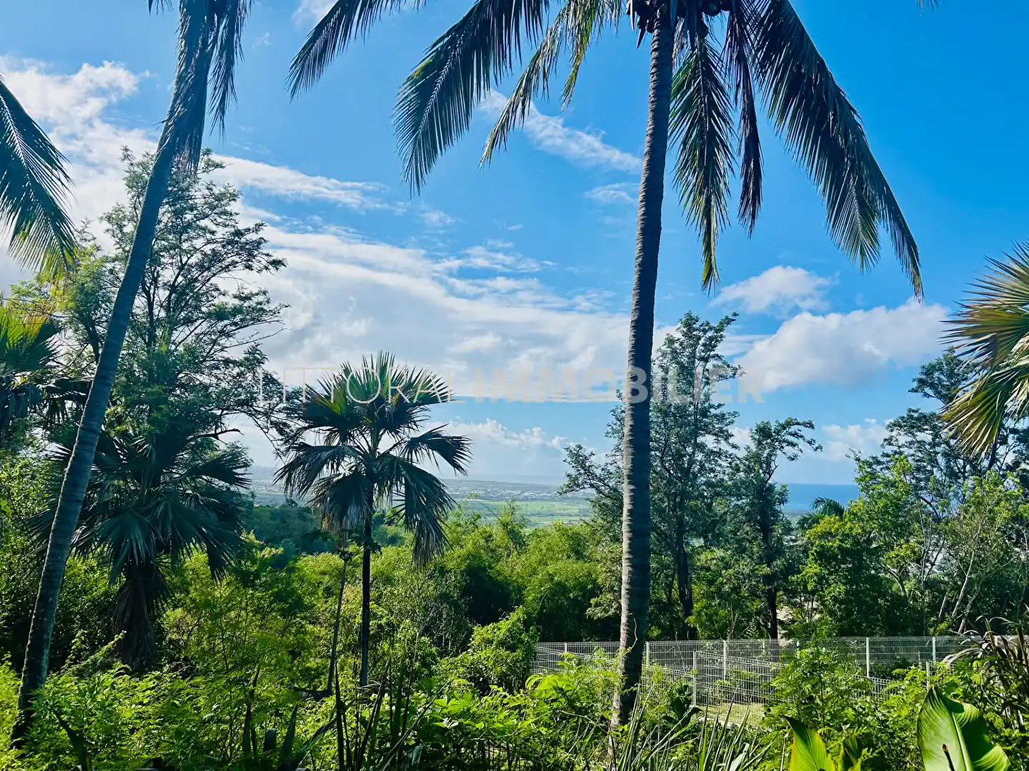 Photo 2 - Terrain à vendre - Ancien 320 000 € 900 m² L'Étang-Salé 97427