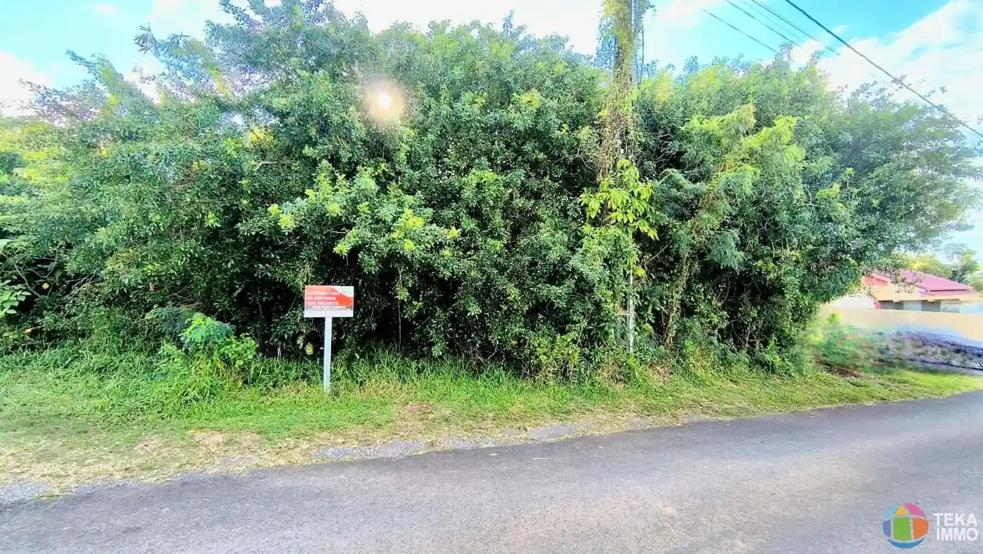 Photo 1 - Terrain à vendre - Ancien 433 000 € Saint-Benoît 97437