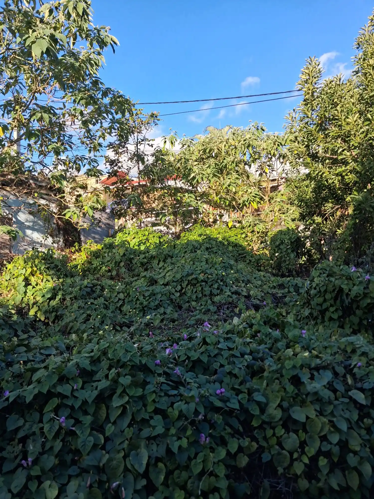 Photo 1 - Terrain à vendre - Ancien 140 000 € 400 m² Saint-Pierre 97410