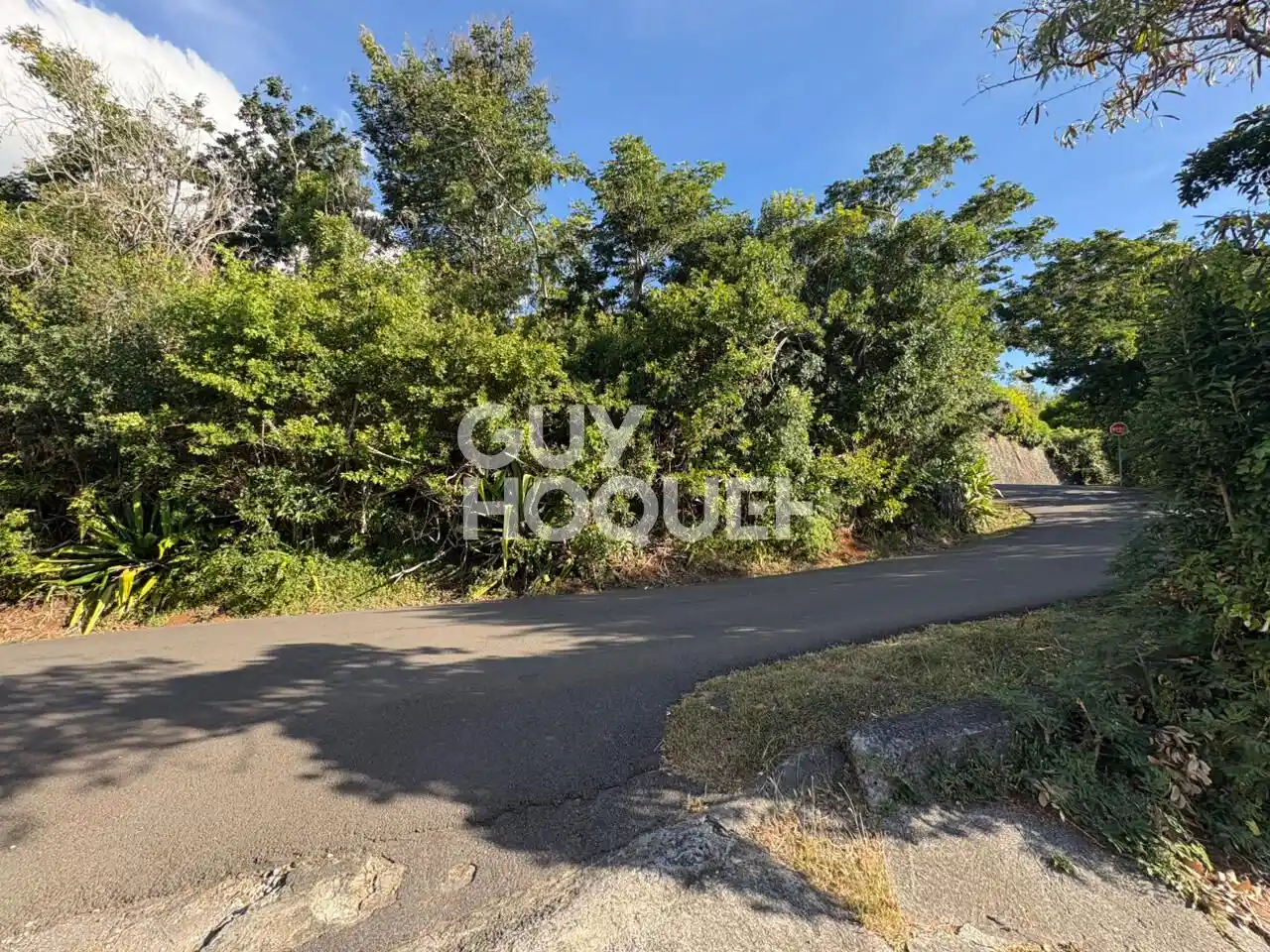 Photo 3 - Terrain à vendre - Ancien 245 000 € 860 m² Saint-Denis La Montagne 97417