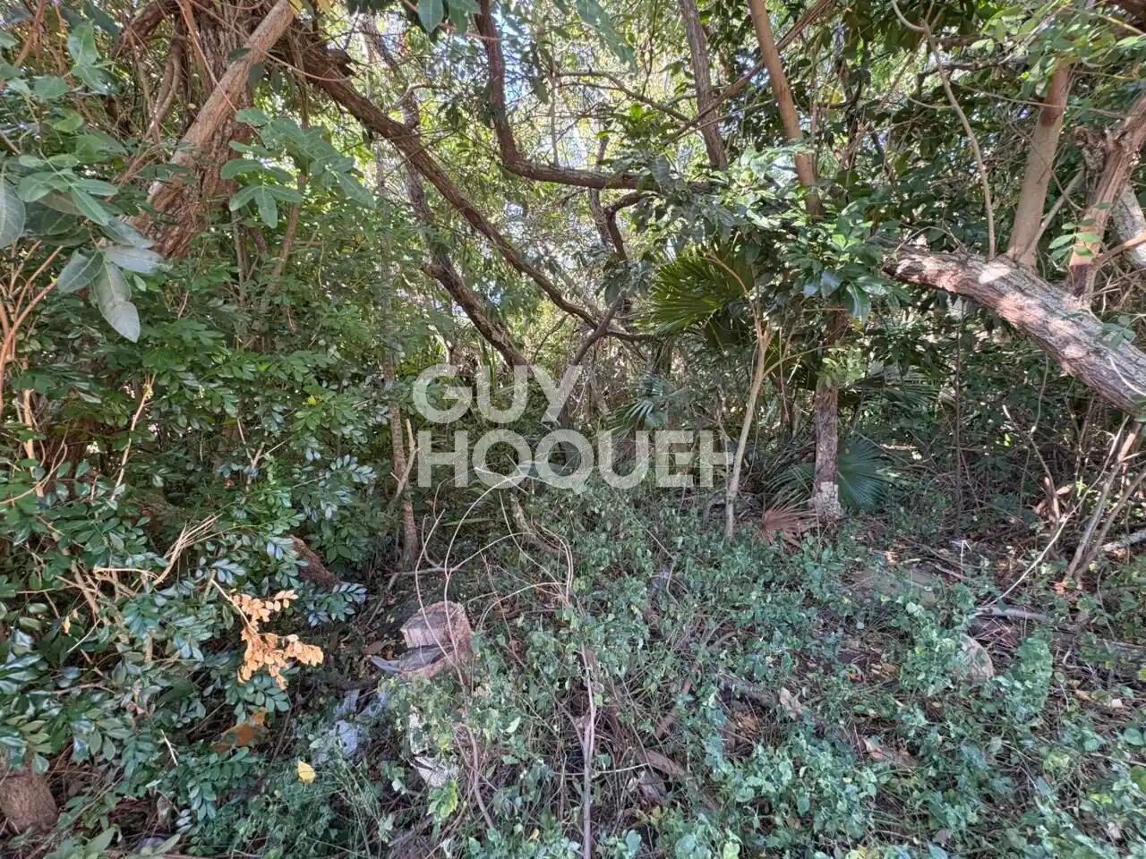 Photo 4 - Terrain à vendre - Ancien 245 000 € 860 m² Saint-Denis La Montagne 97417