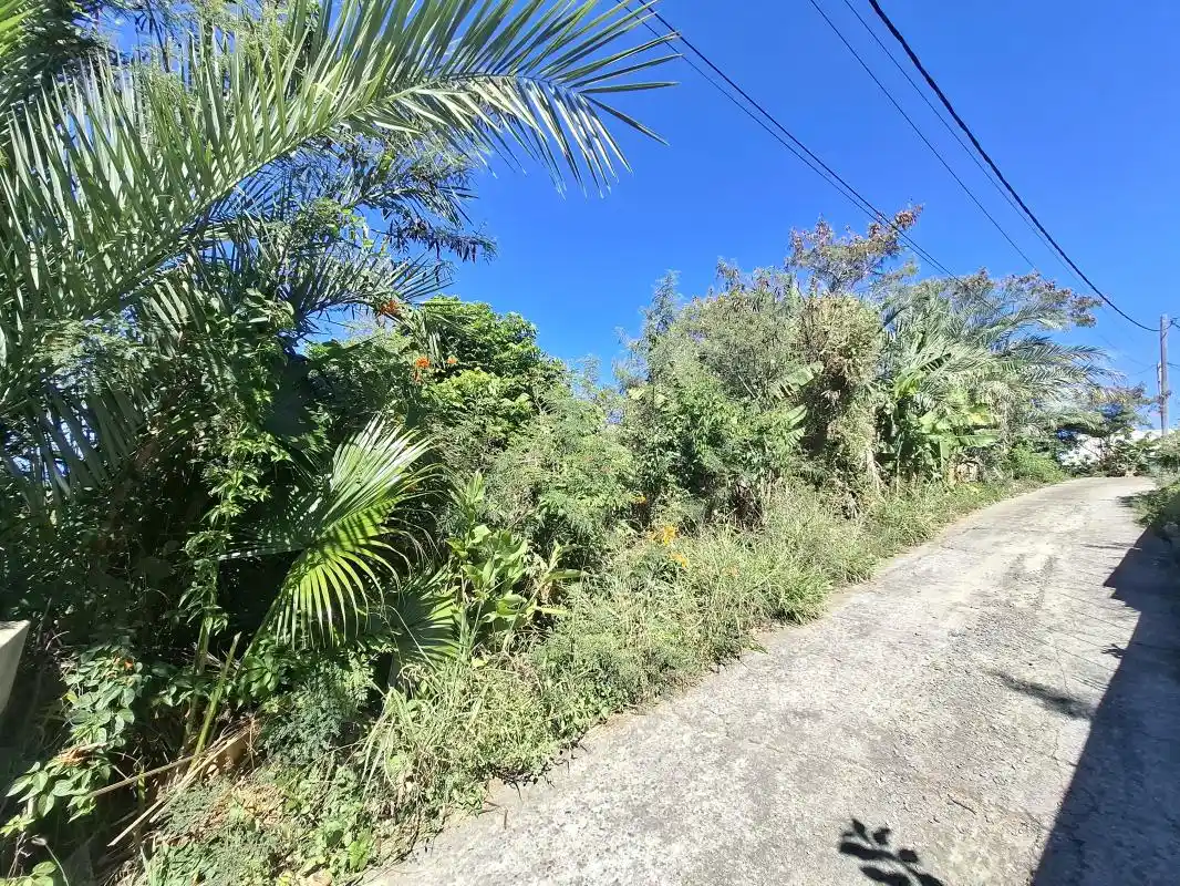 Photo 3 - Terrain à vendre - Ancien 220 000 € 1290 m² Saint-Louis 97450