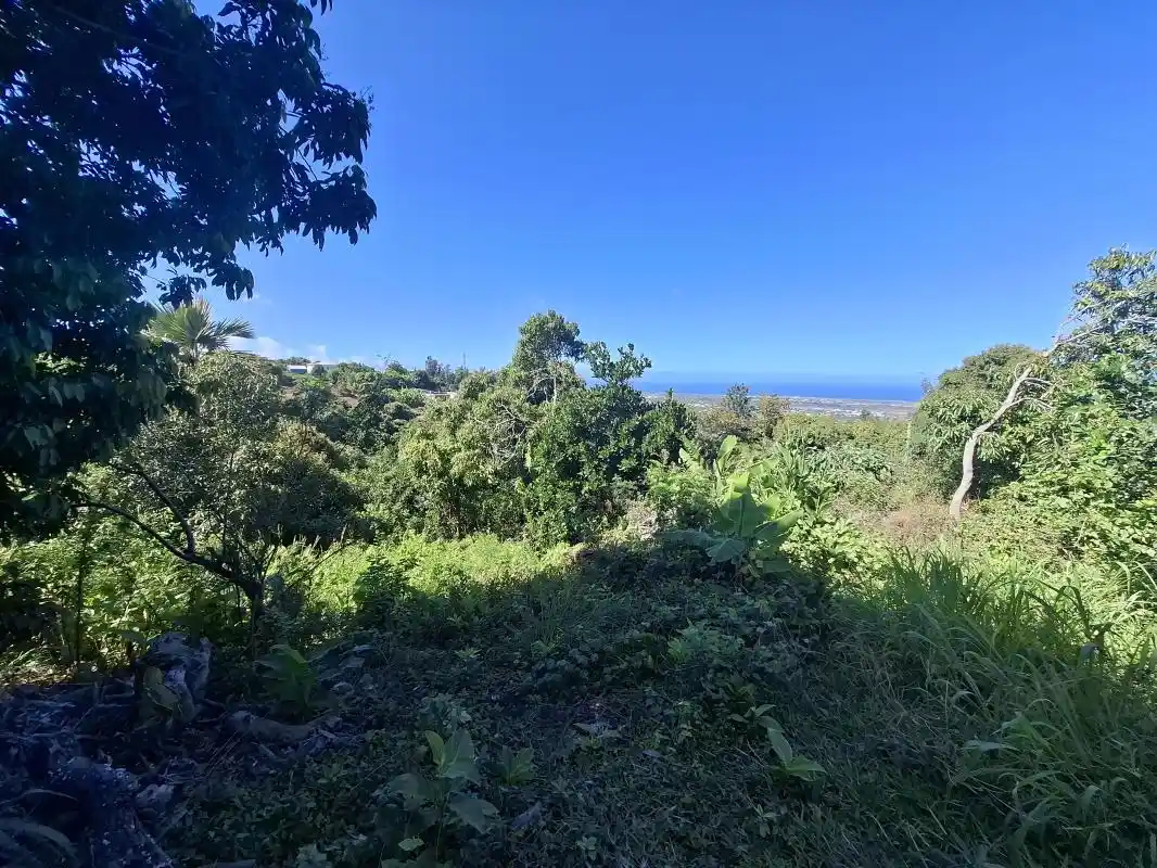 Photo 2 - Terrain à vendre - Ancien 220 000 € 1290 m² Saint-Louis 97450