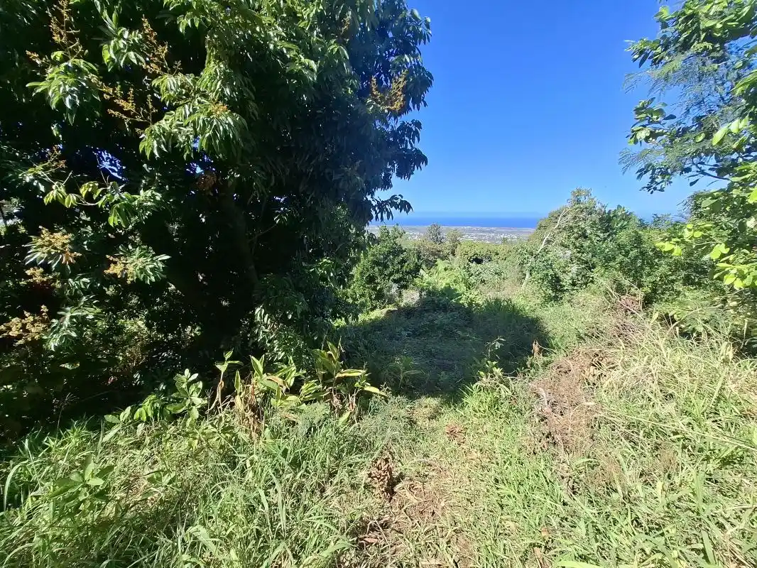 Photo 1 - Terrain à vendre - Ancien 220 000 € 1290 m² Saint-Louis 97450