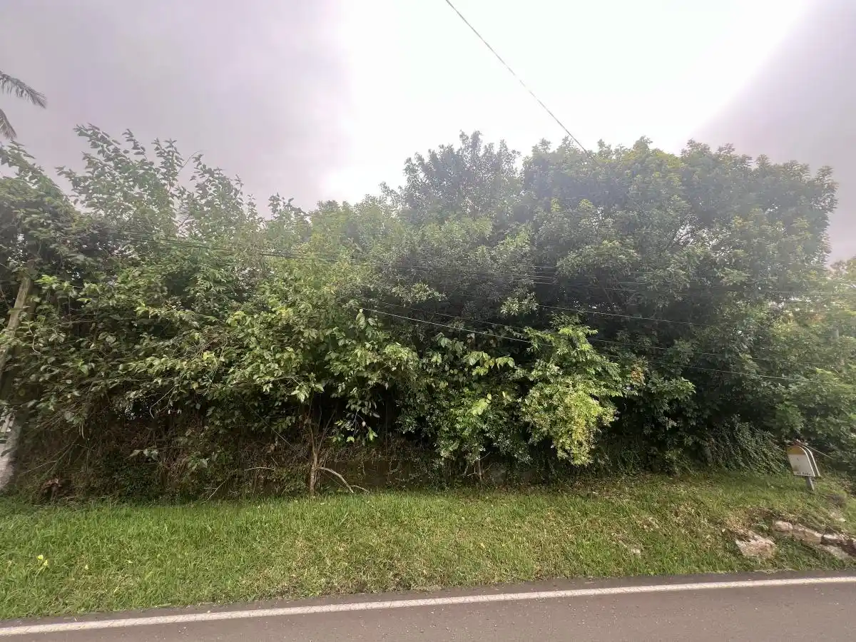 Photo 1 - Terrain à vendre - Ancien 118 100 € 581 m² Petite-Île 97429